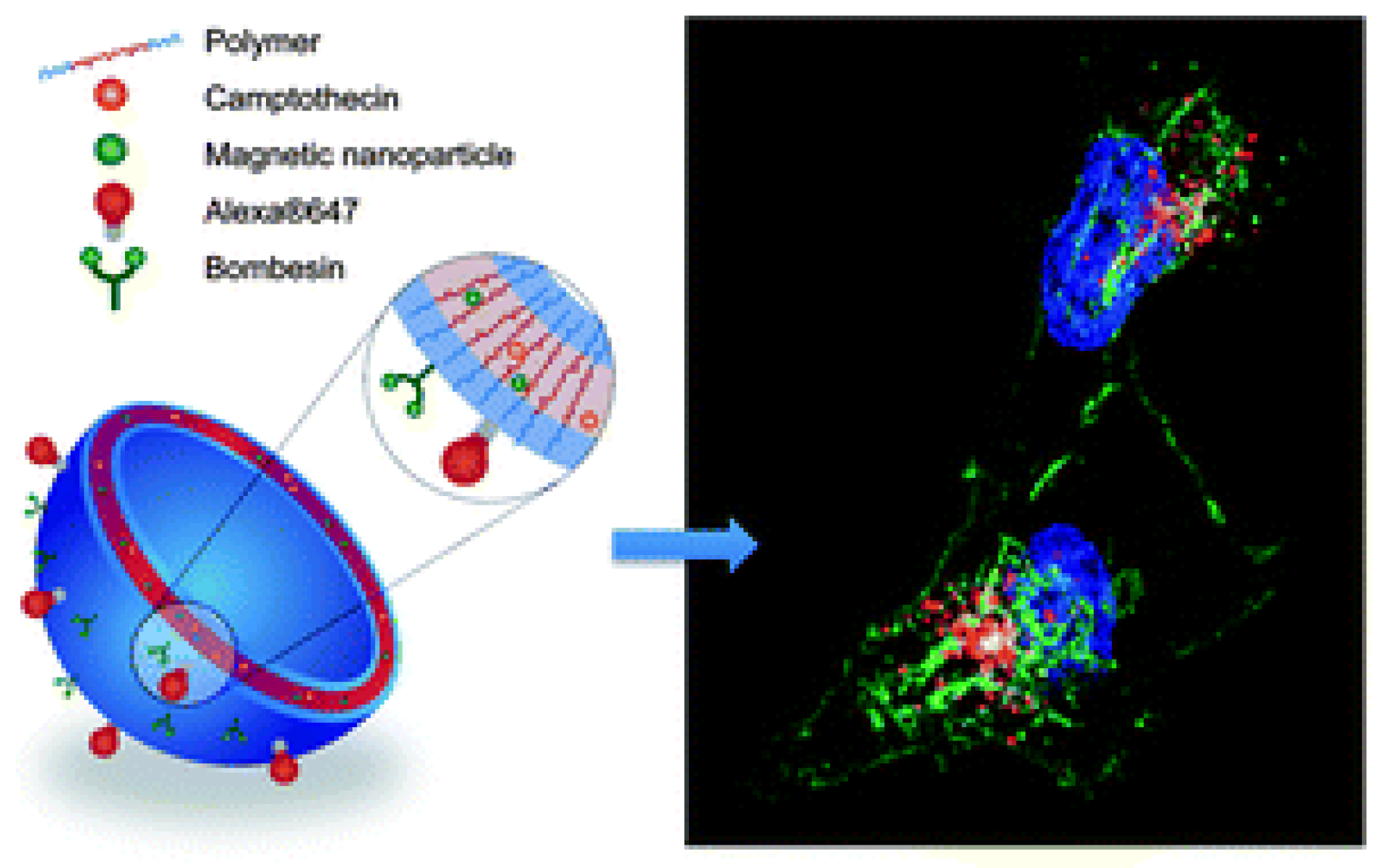 Preprints 66874 g020