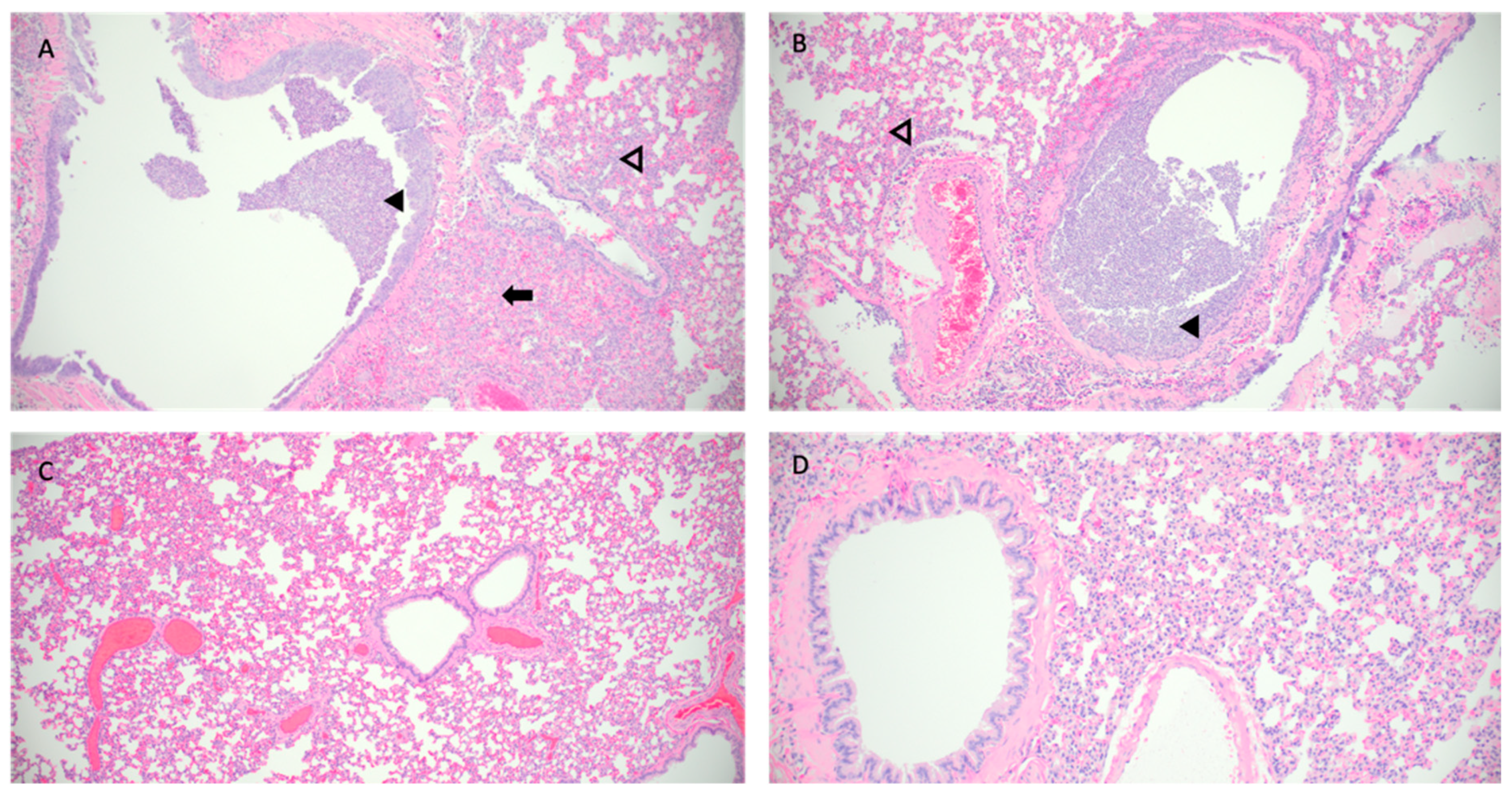 Preprints 91867 g002