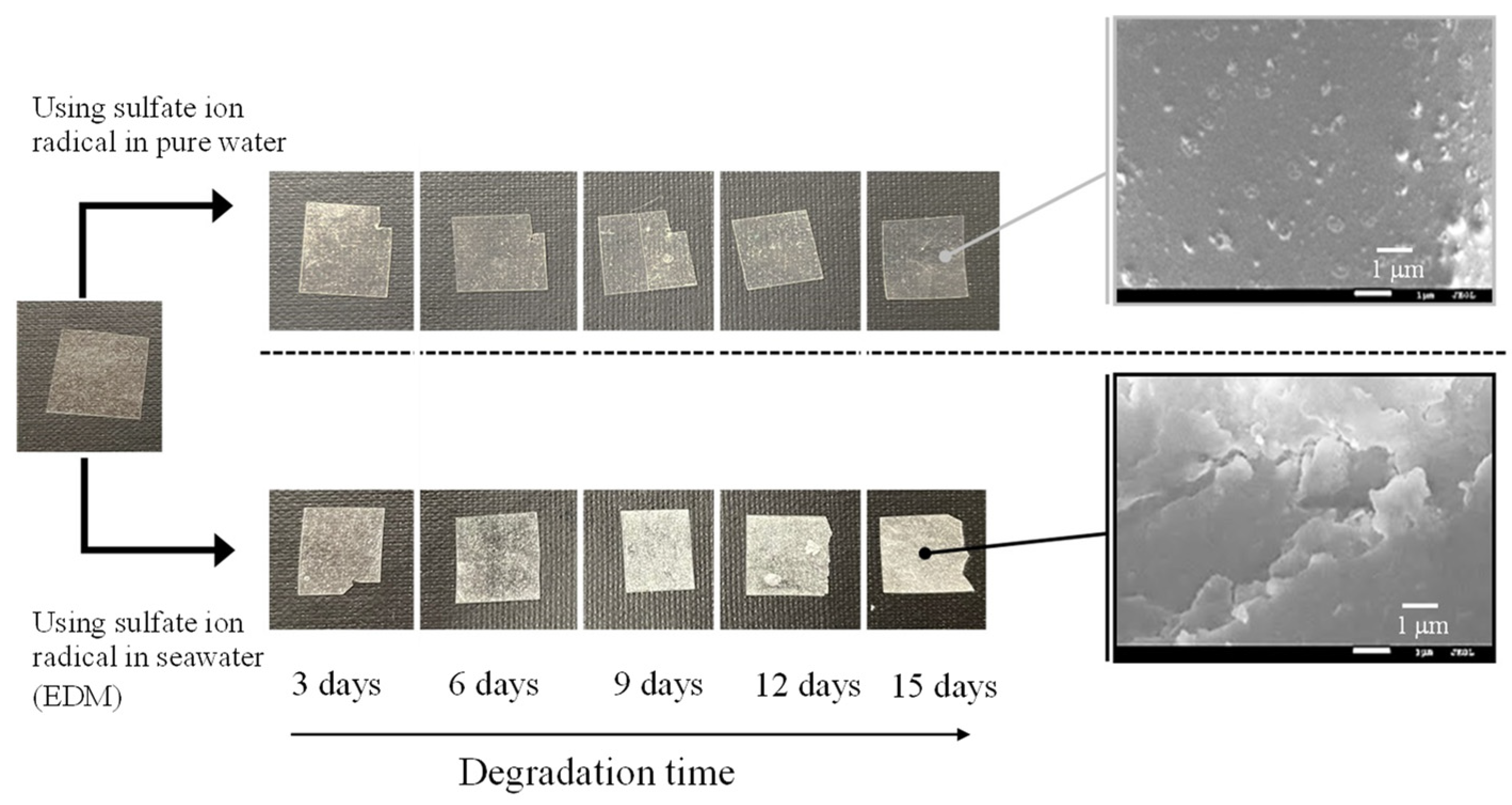 Preprints 94624 g003