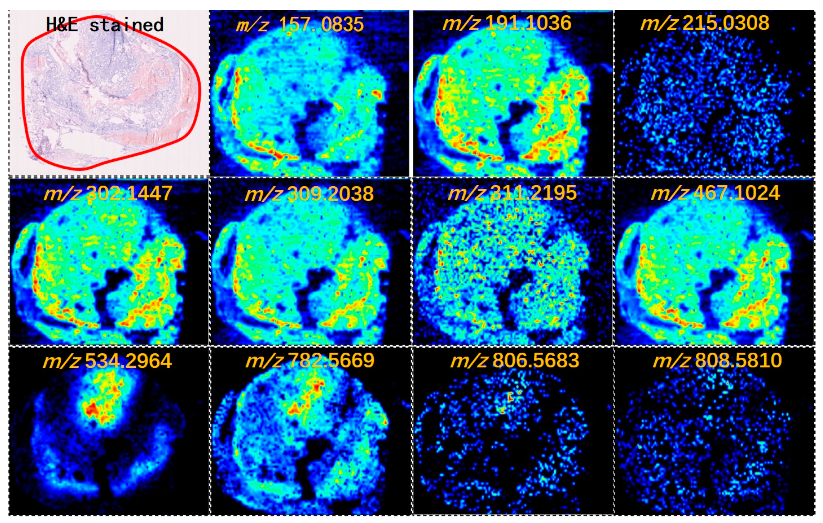 Preprints 75808 g001