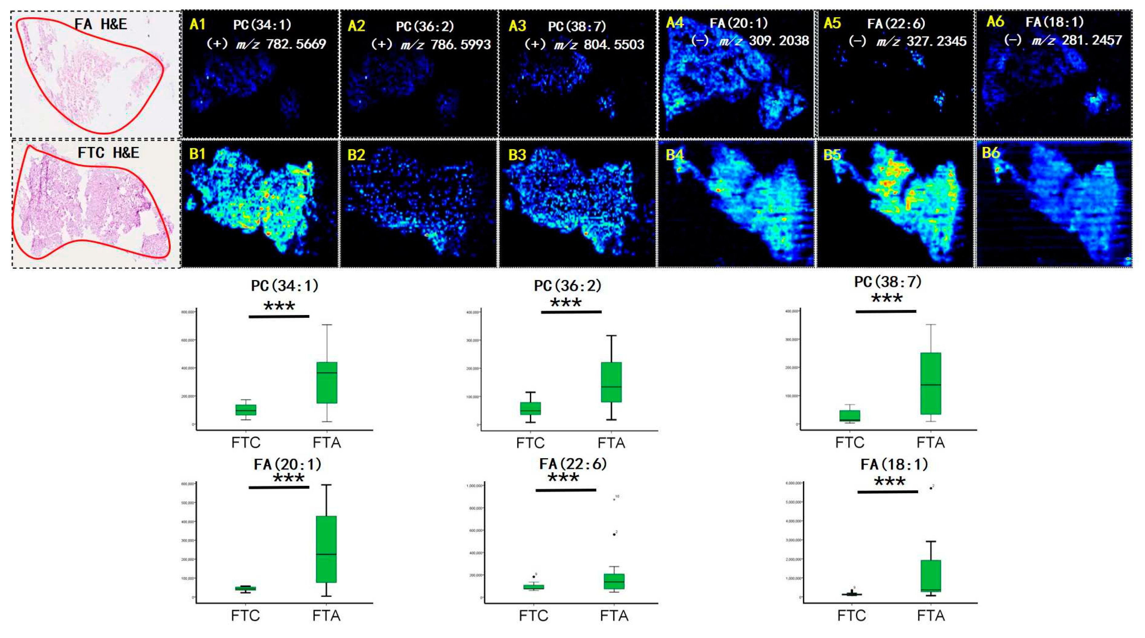 Preprints 75808 g002