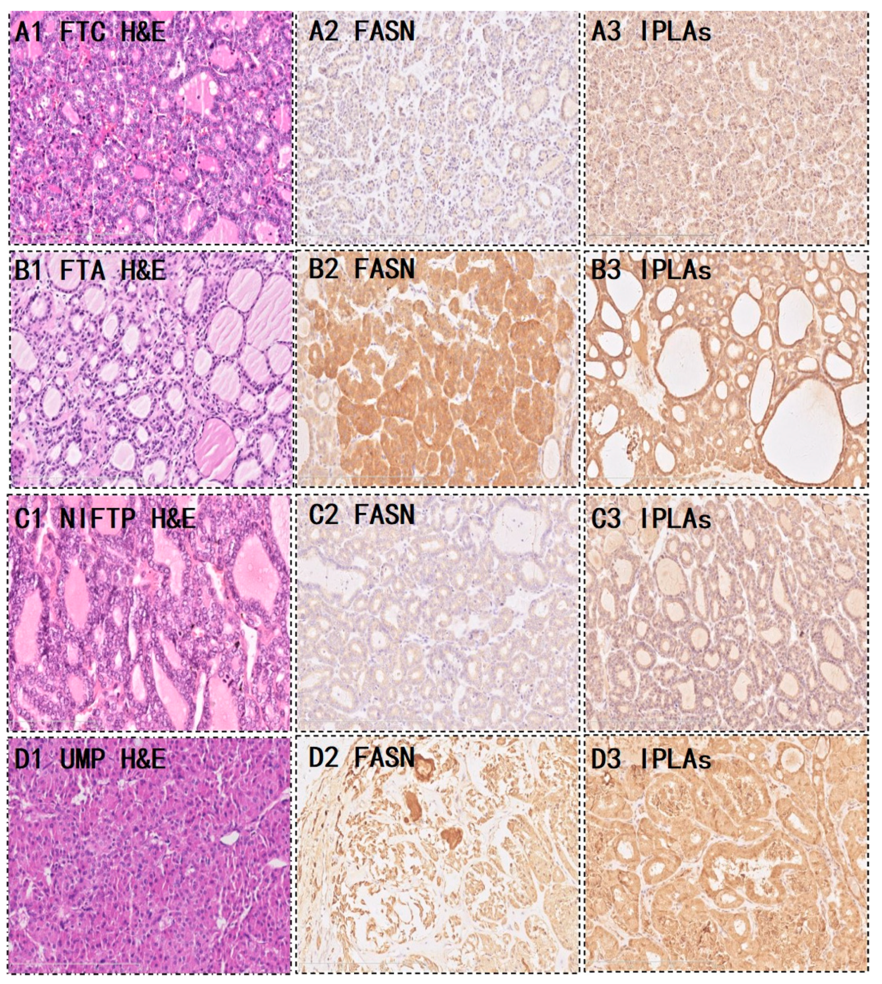 Preprints 75808 g003