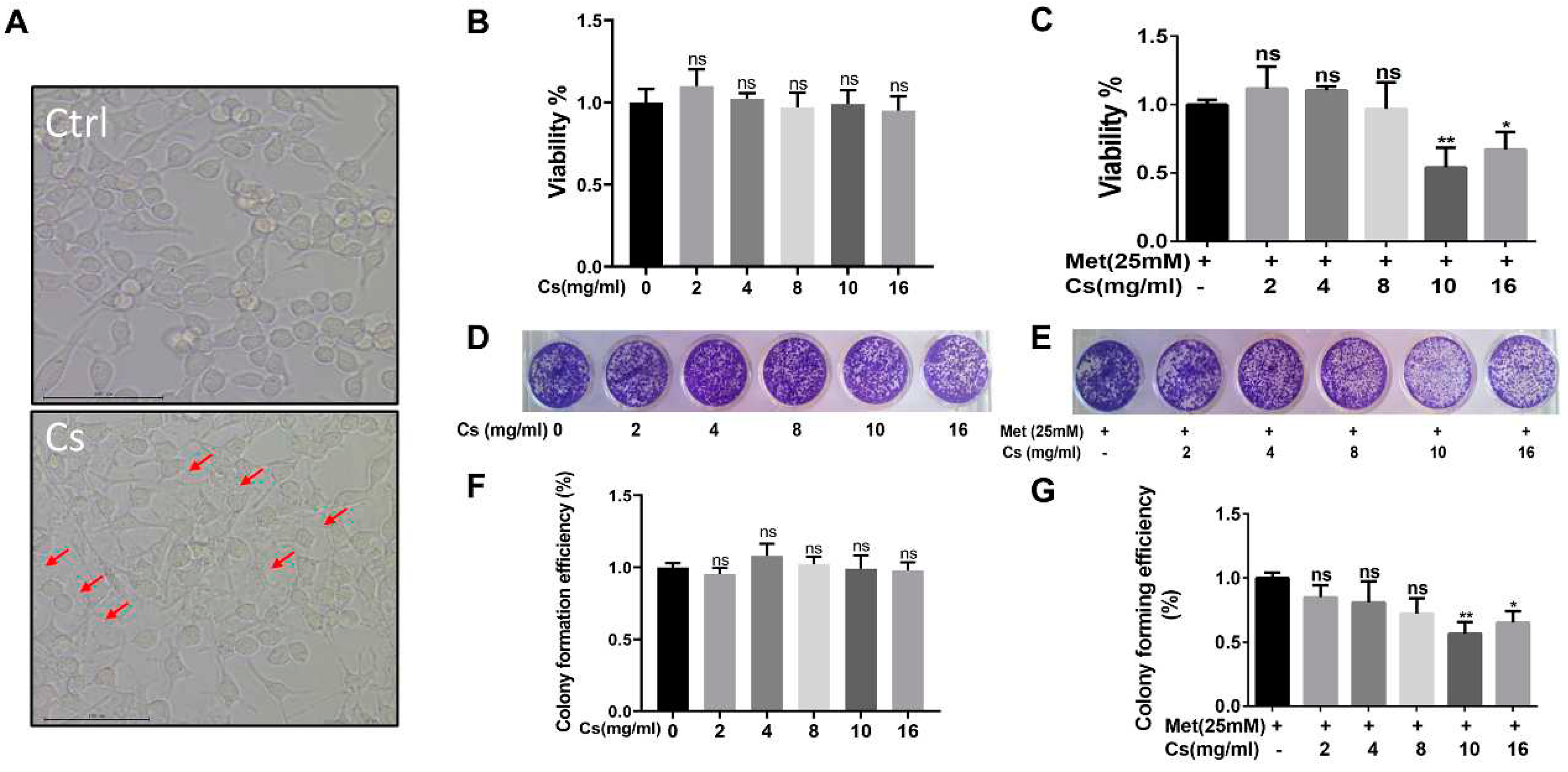 Preprints 84842 g003