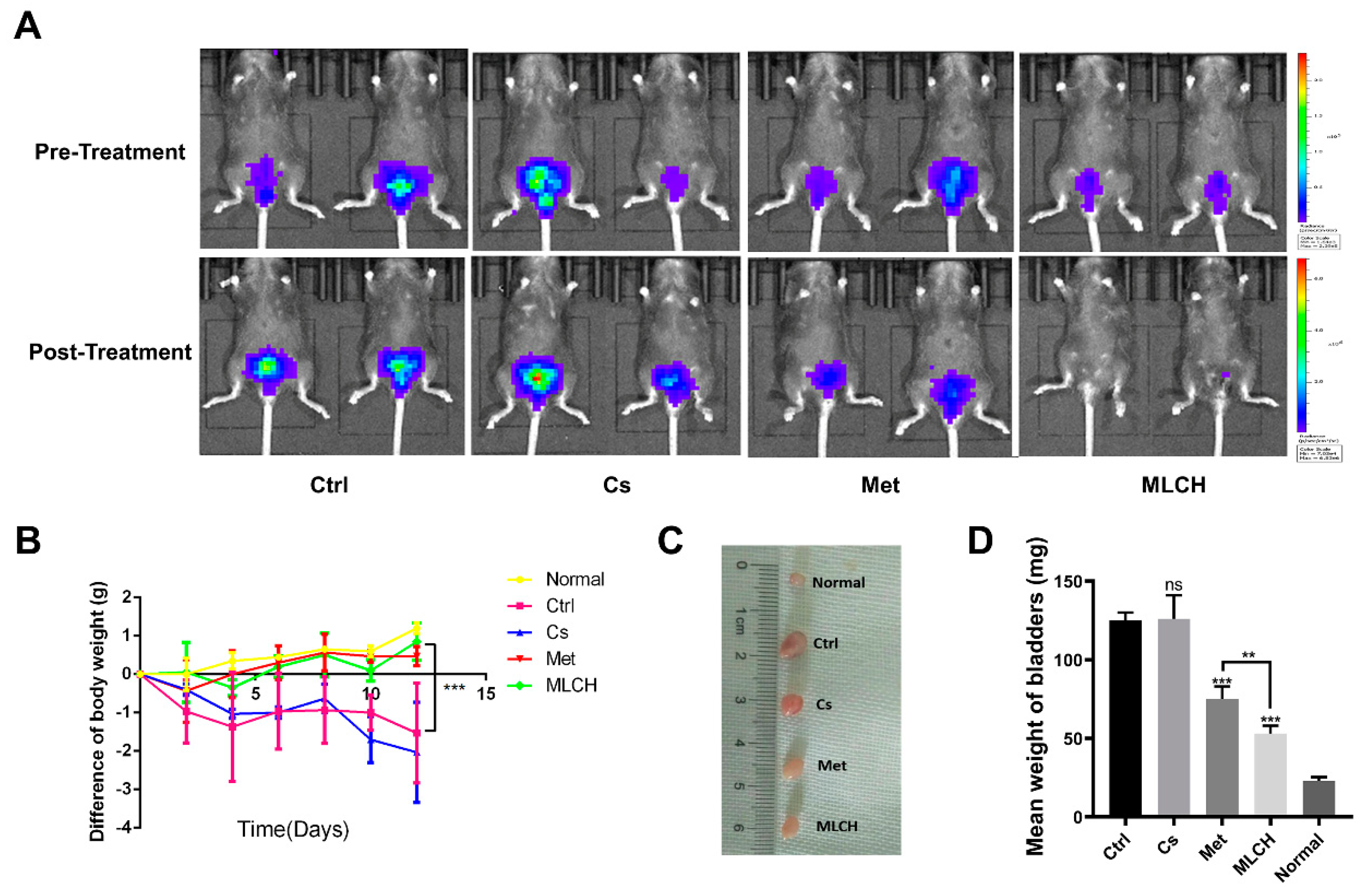 Preprints 84842 g004