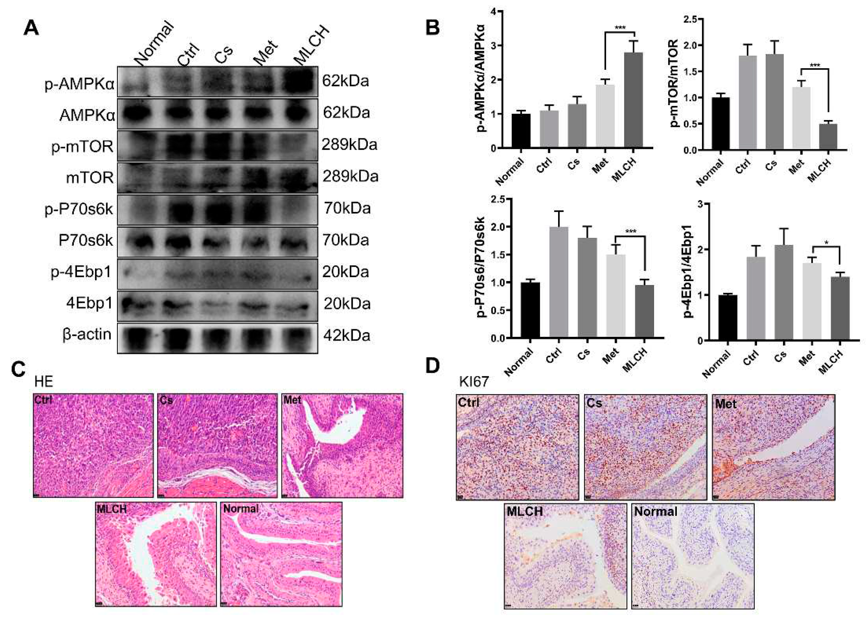 Preprints 84842 g005