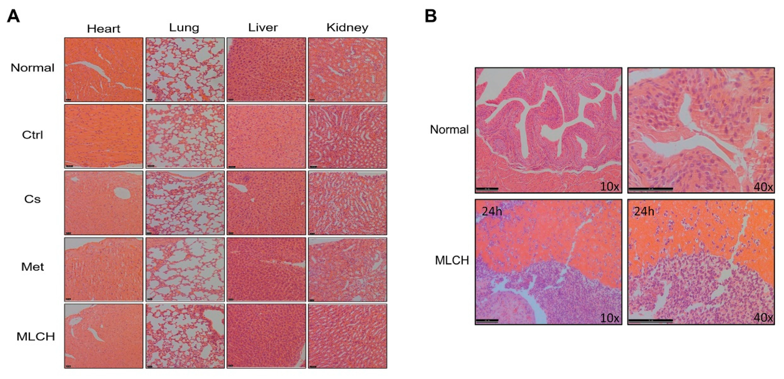 Preprints 84842 g006