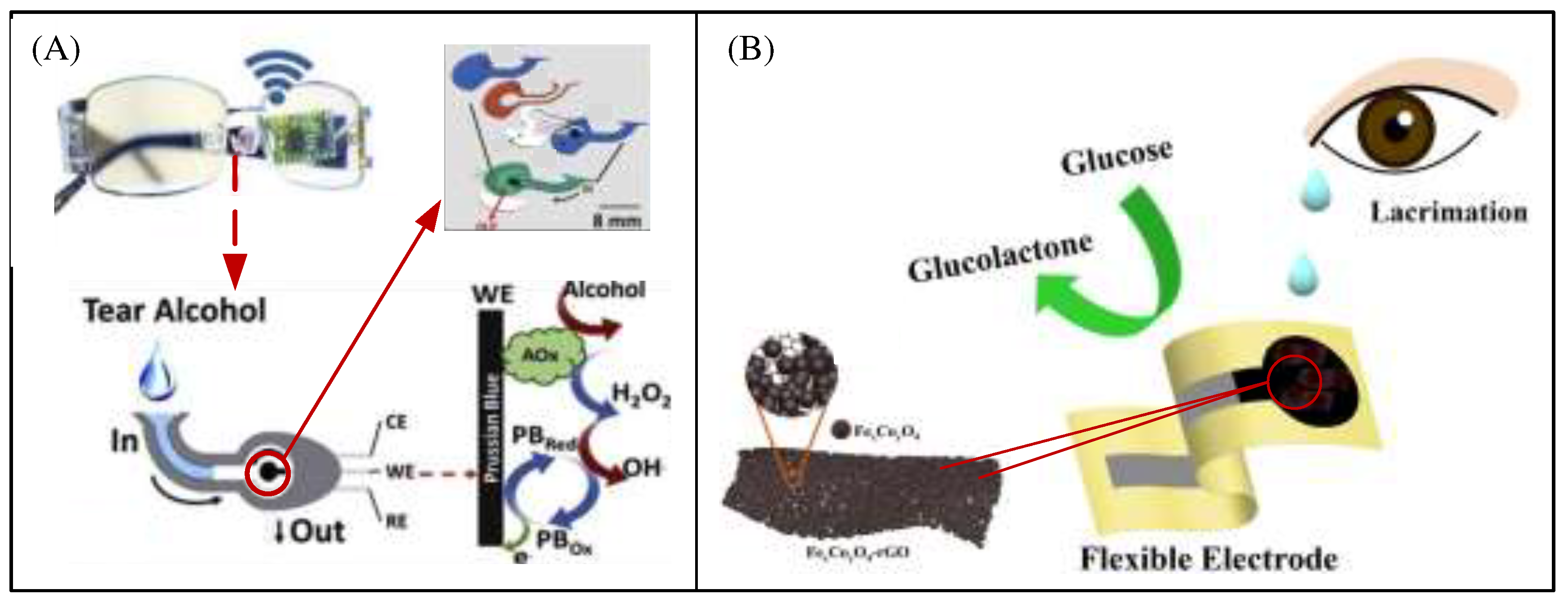 Preprints 77186 g008