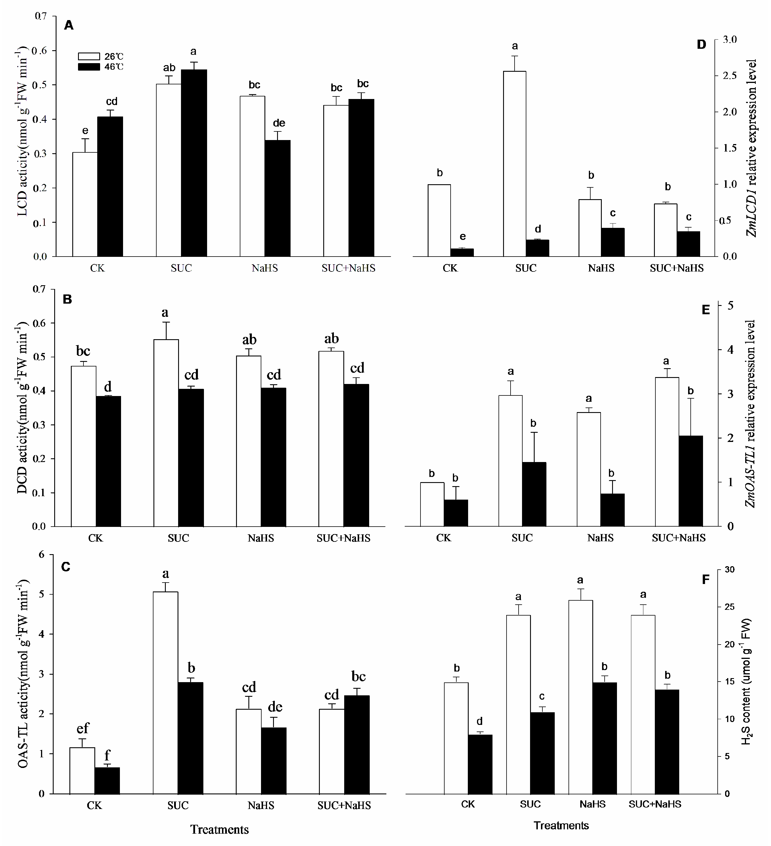 Preprints 106909 g002