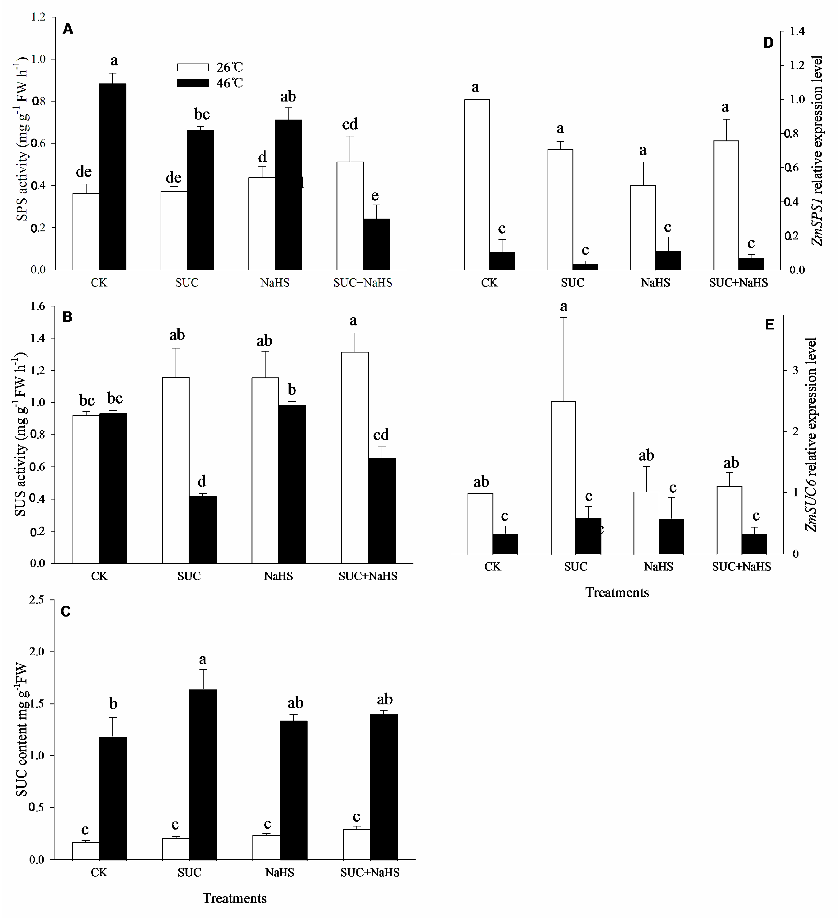 Preprints 106909 g003