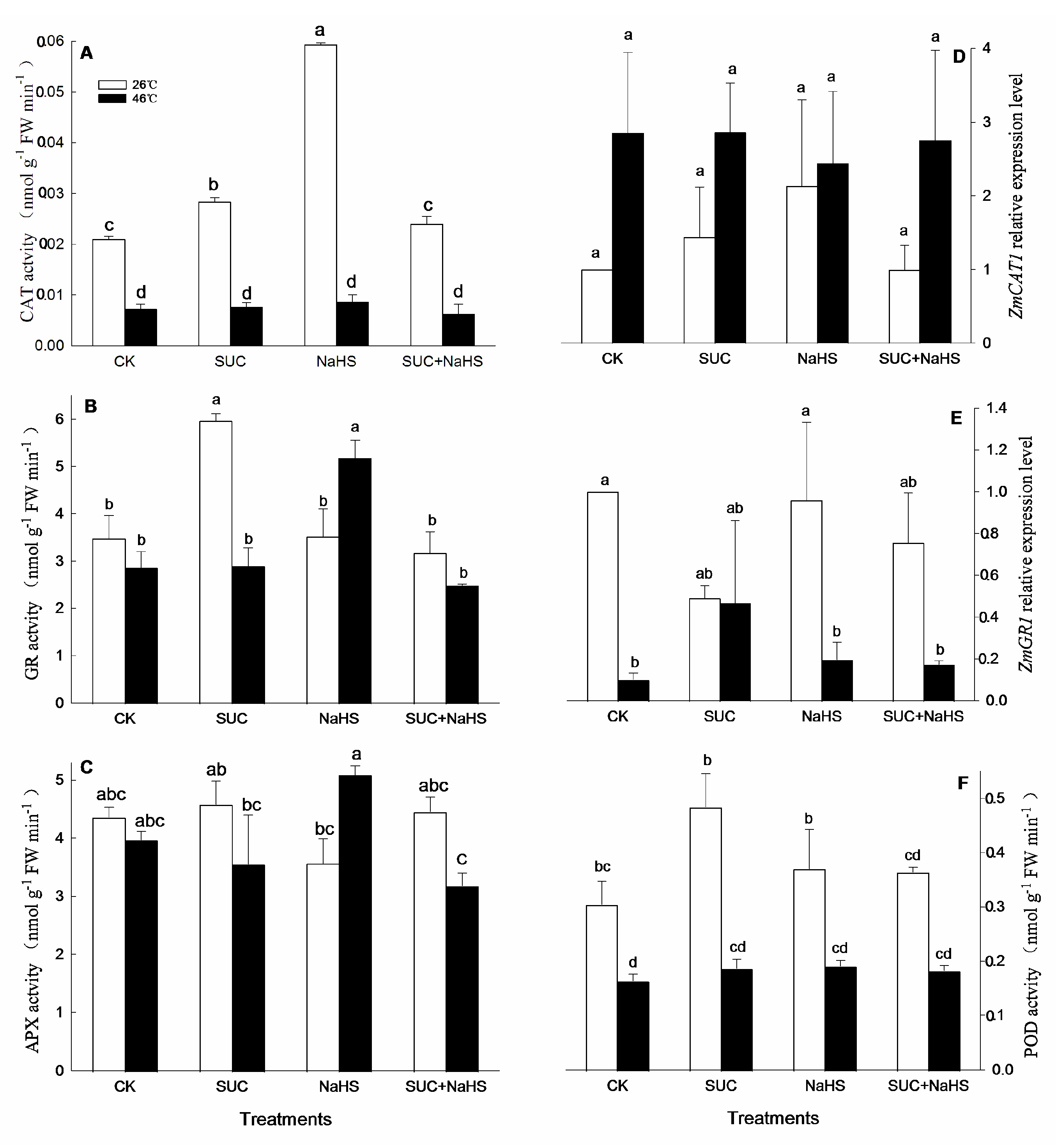 Preprints 106909 g004