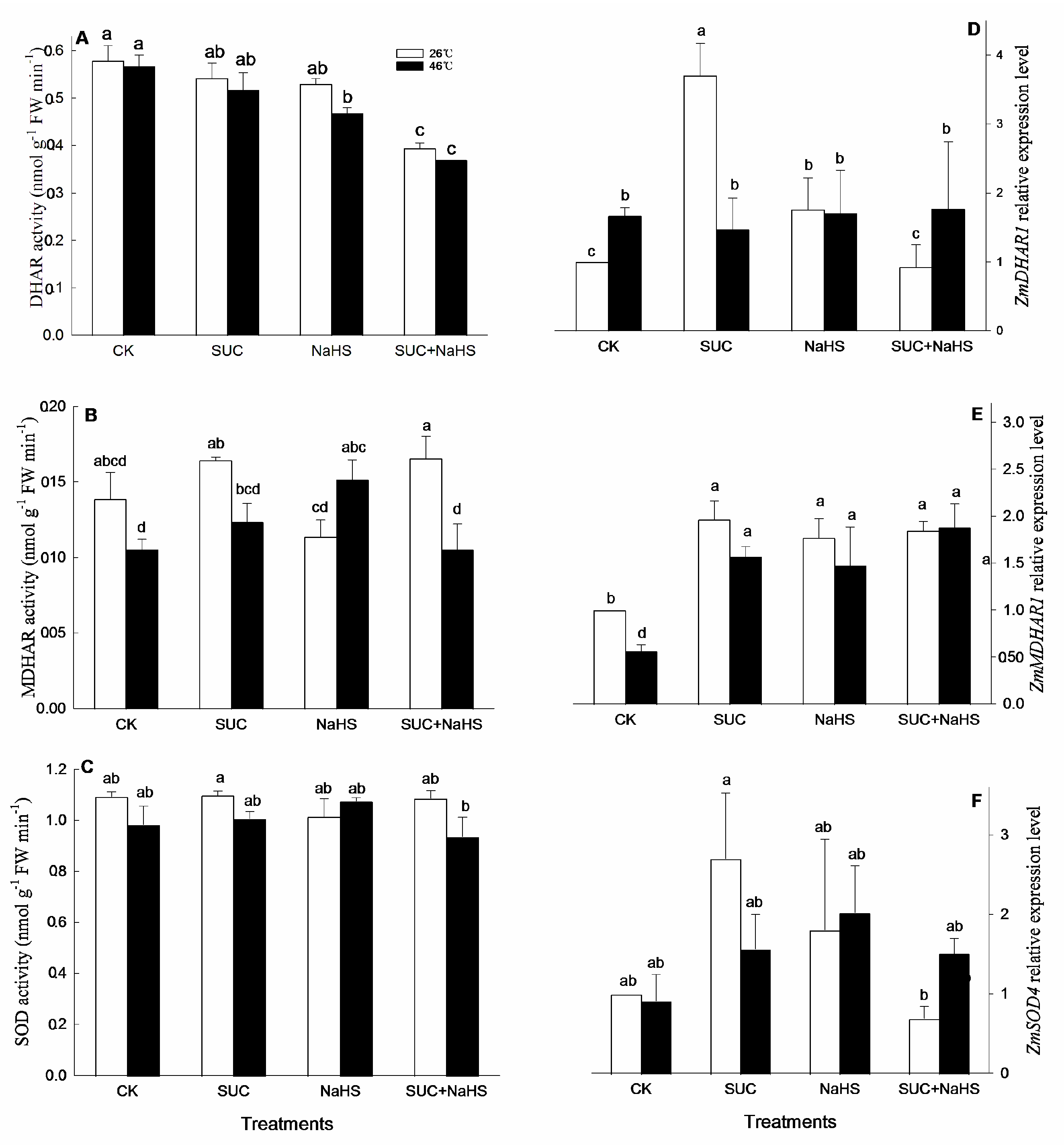 Preprints 106909 g005