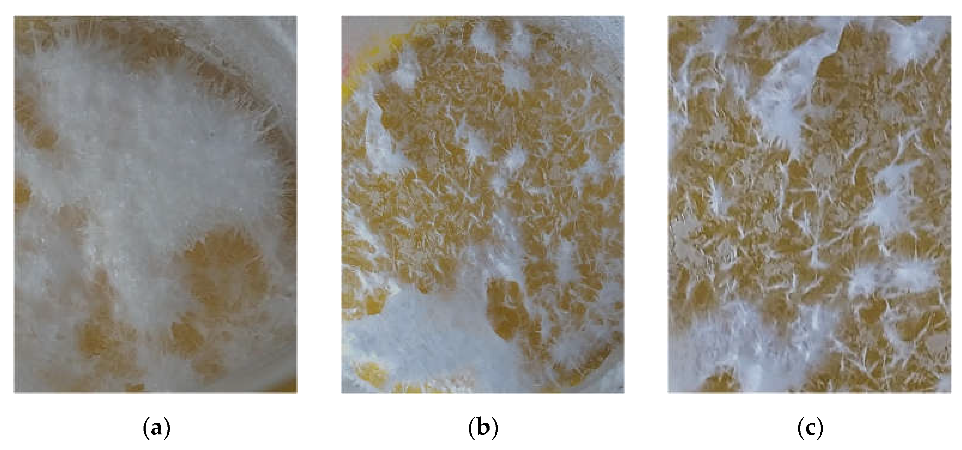 Preprints 115659 g002