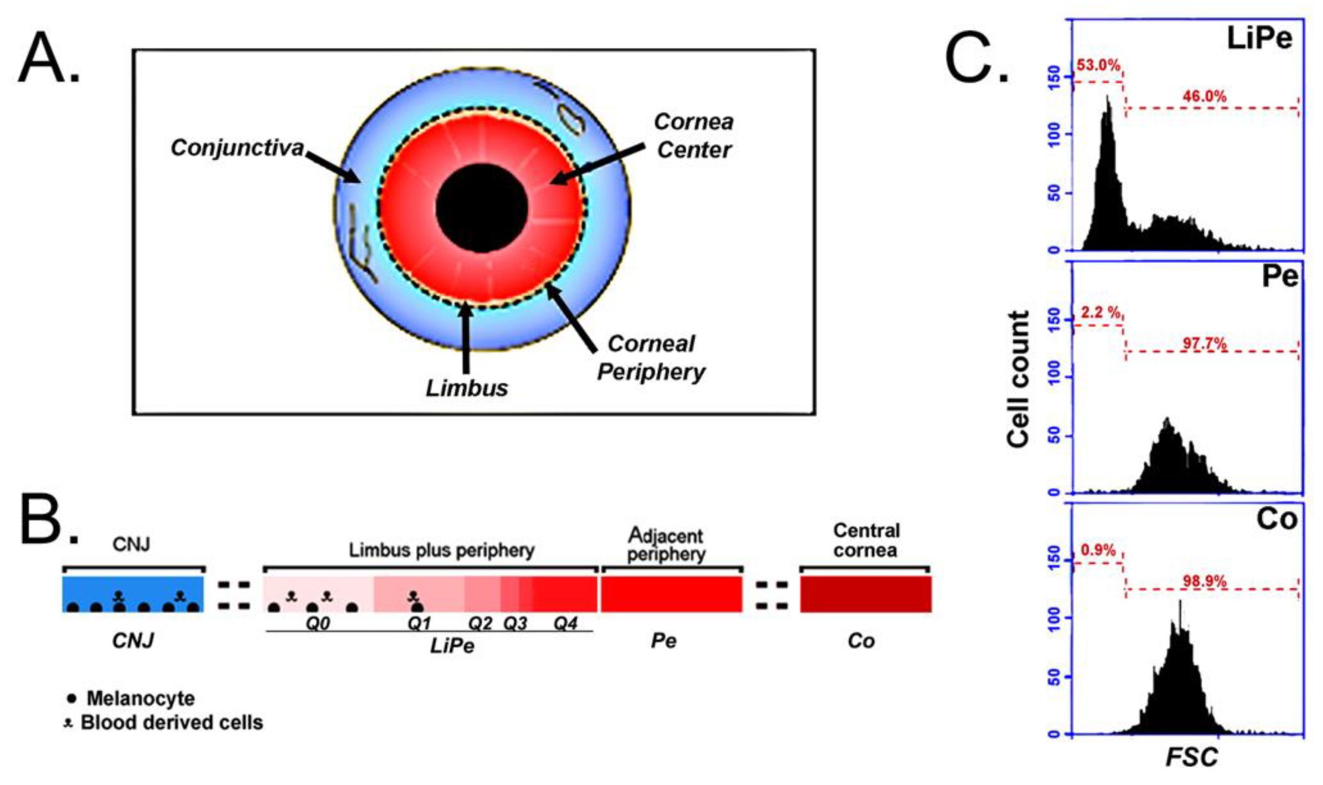 Preprints 96700 g001