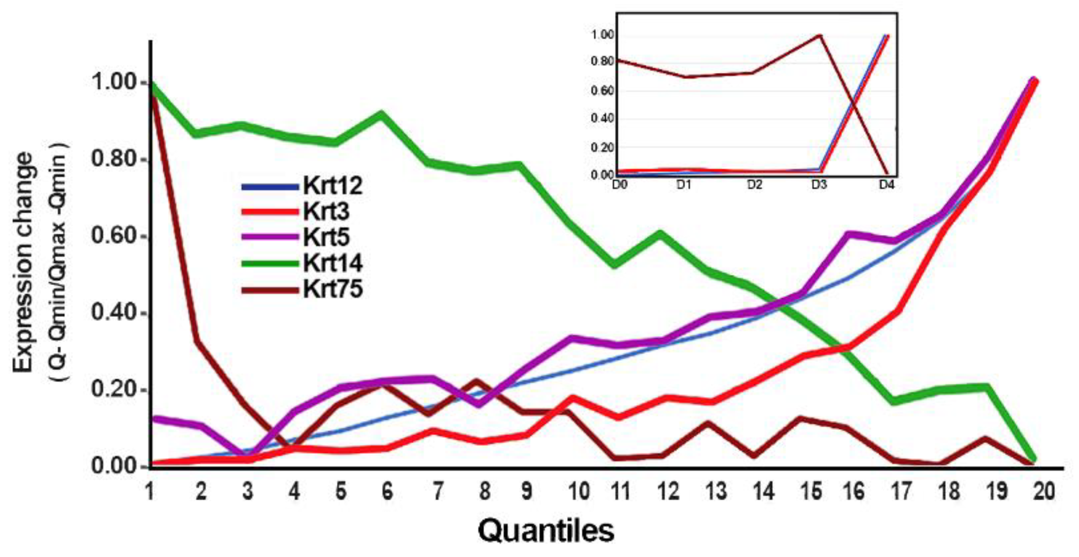 Preprints 96700 g004