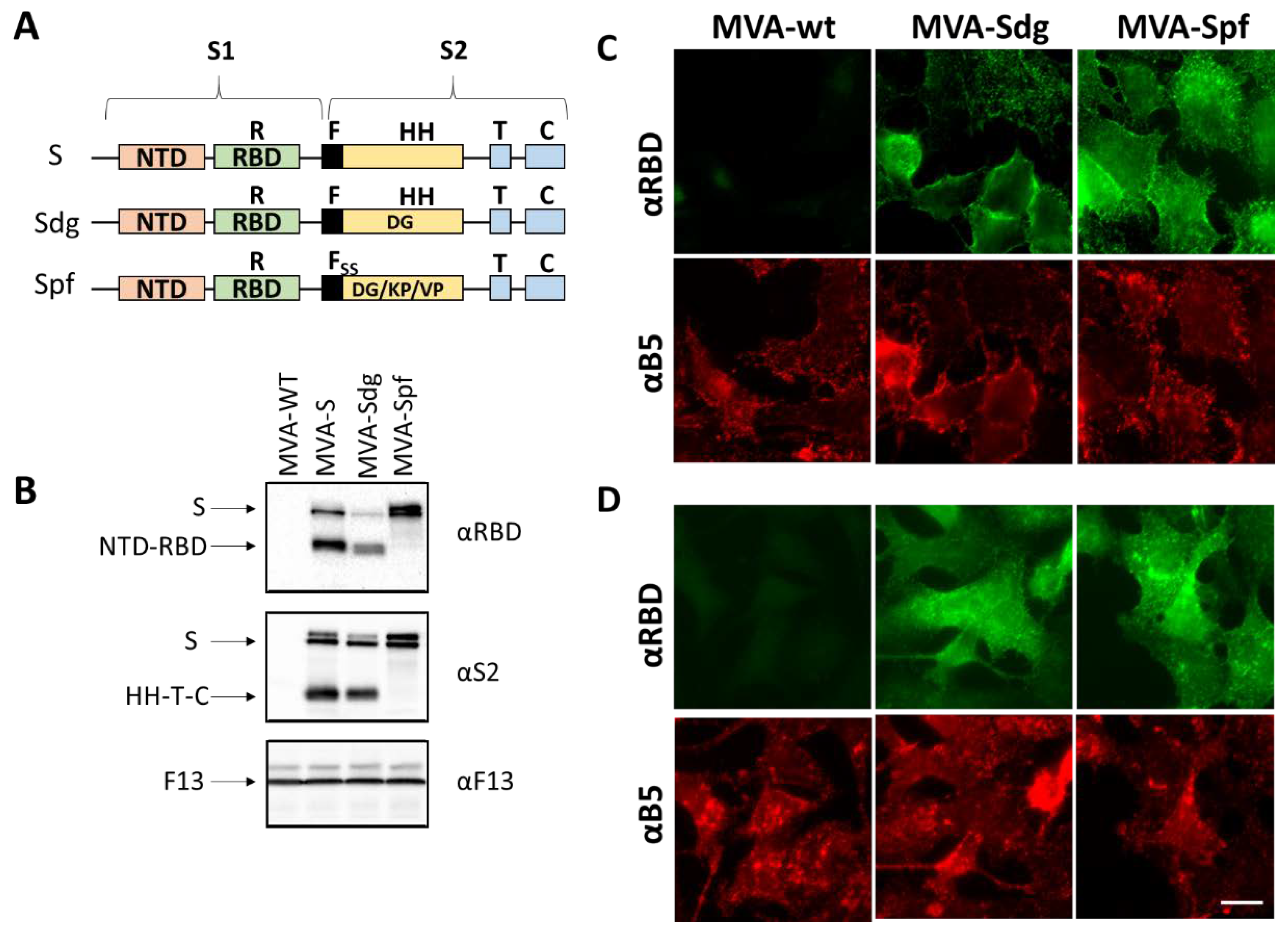 Preprints 72514 g001