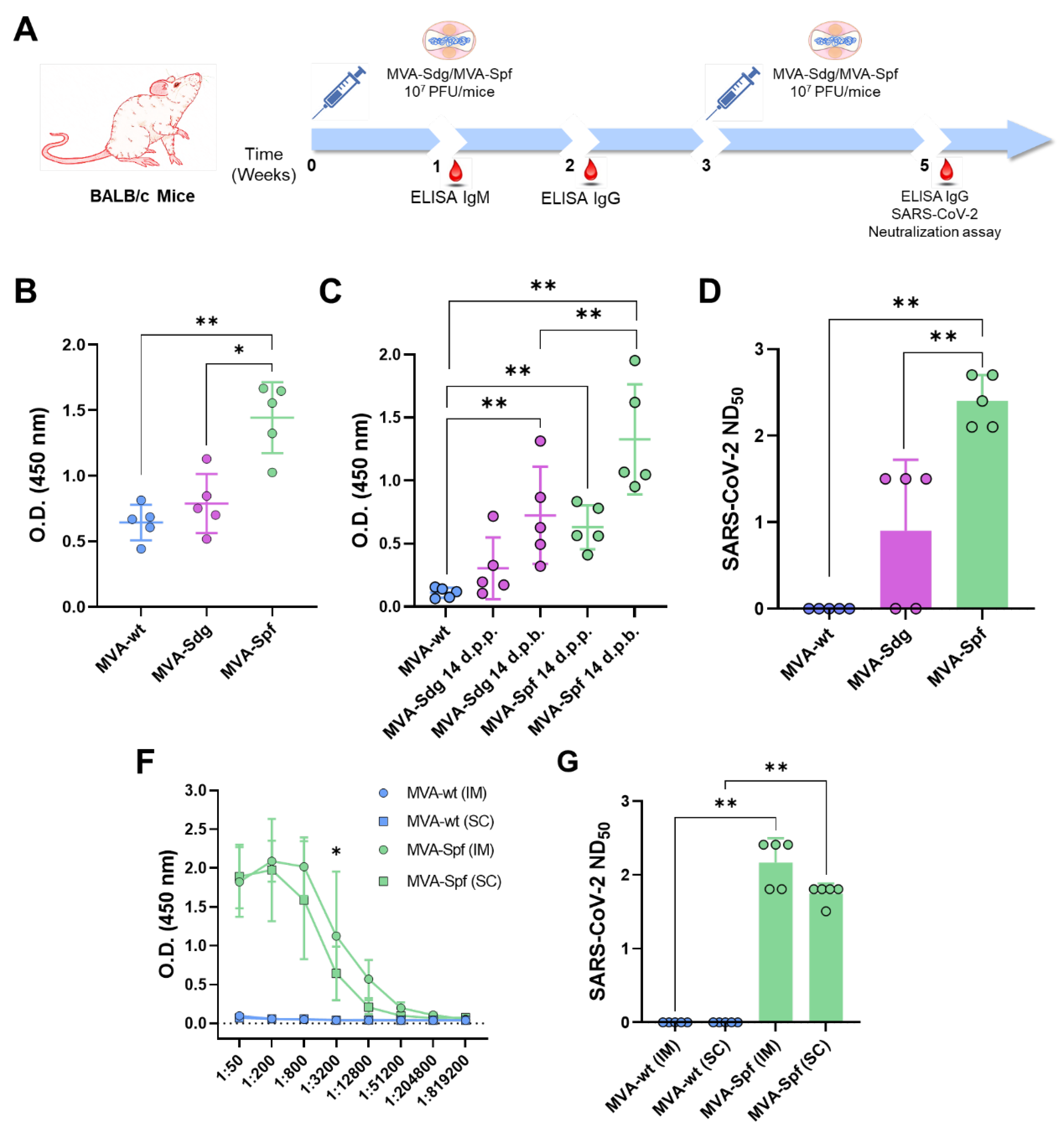 Preprints 72514 g003