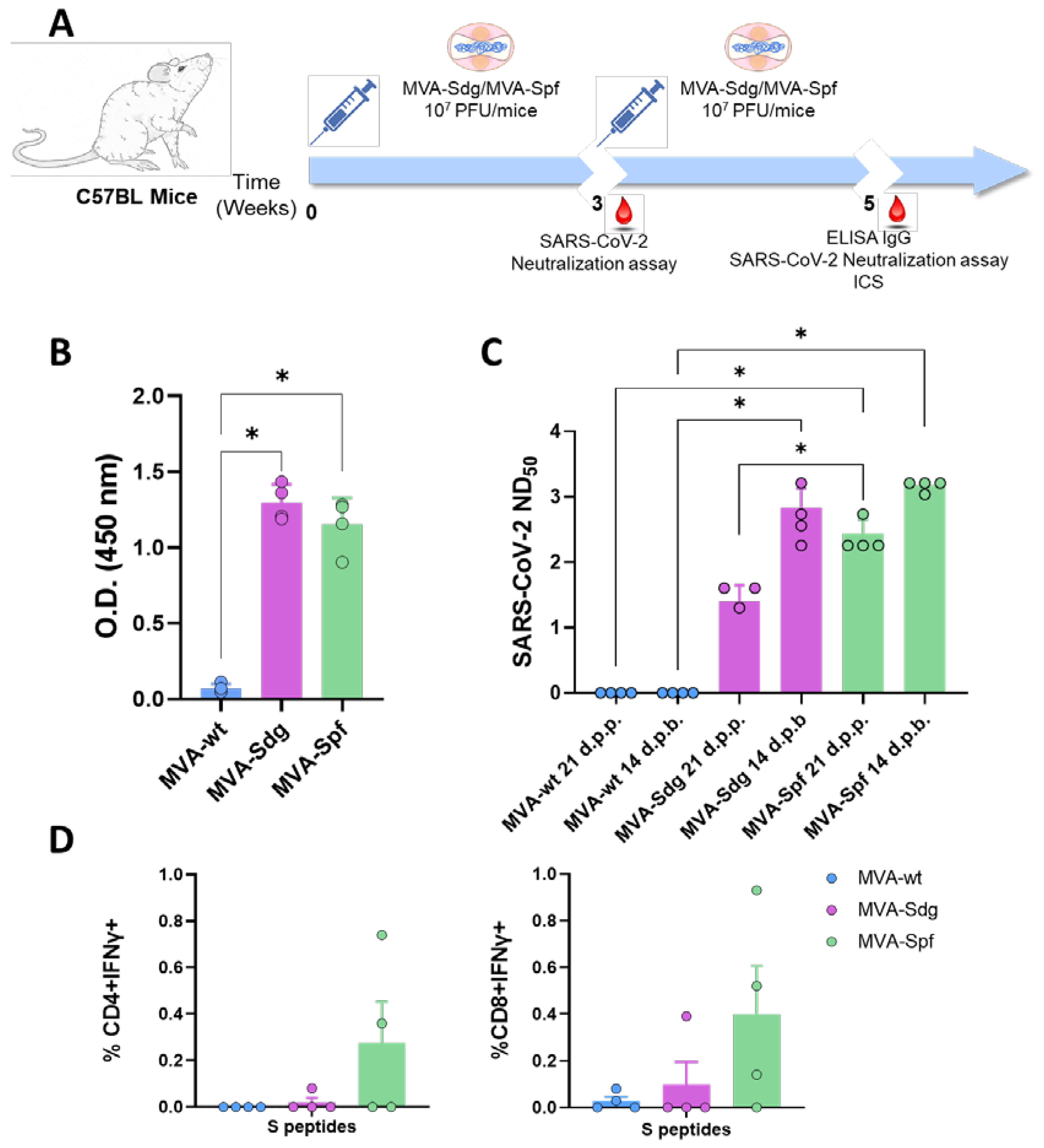 Preprints 72514 g004