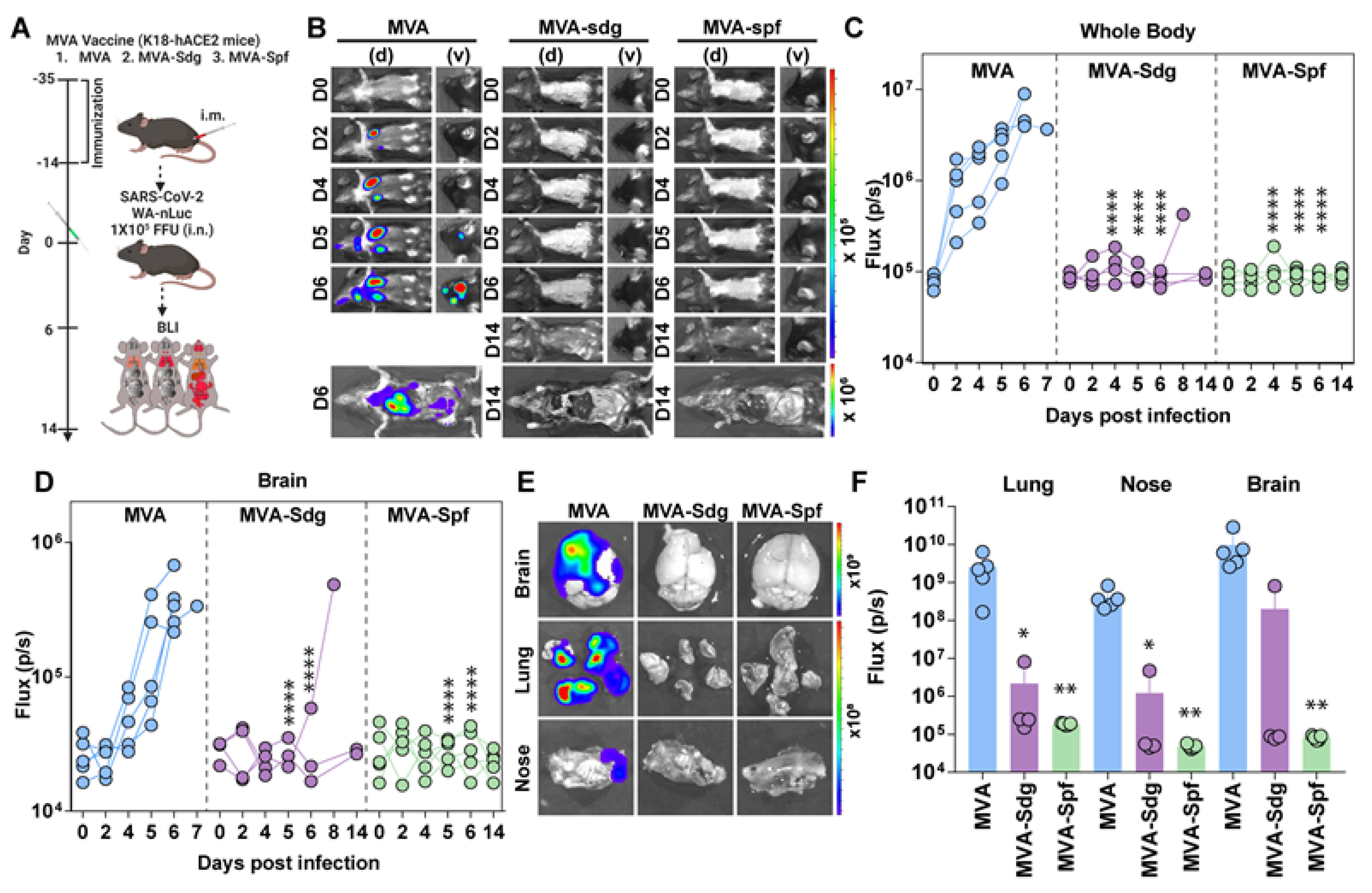 Preprints 72514 g006