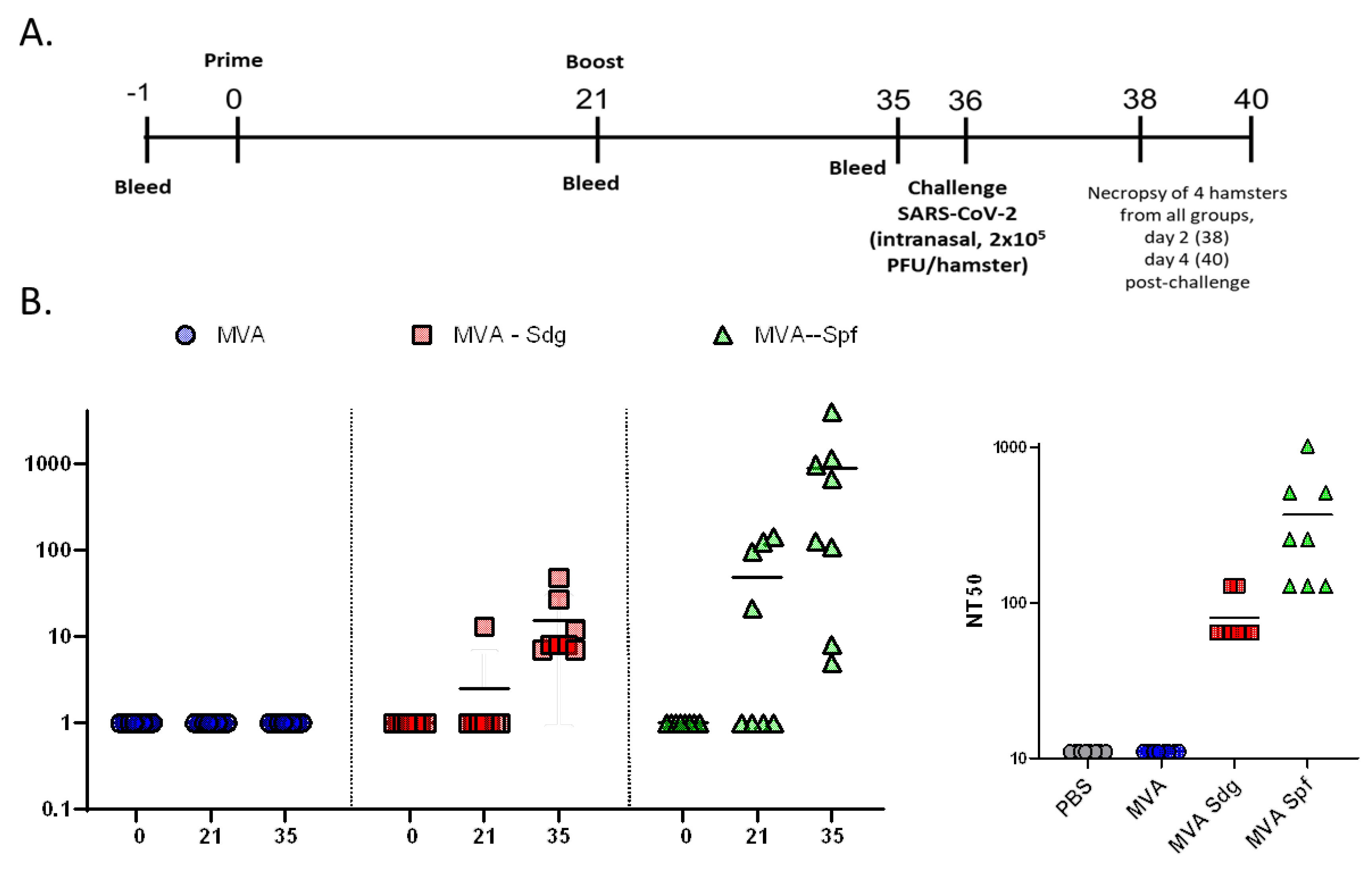 Preprints 72514 g008