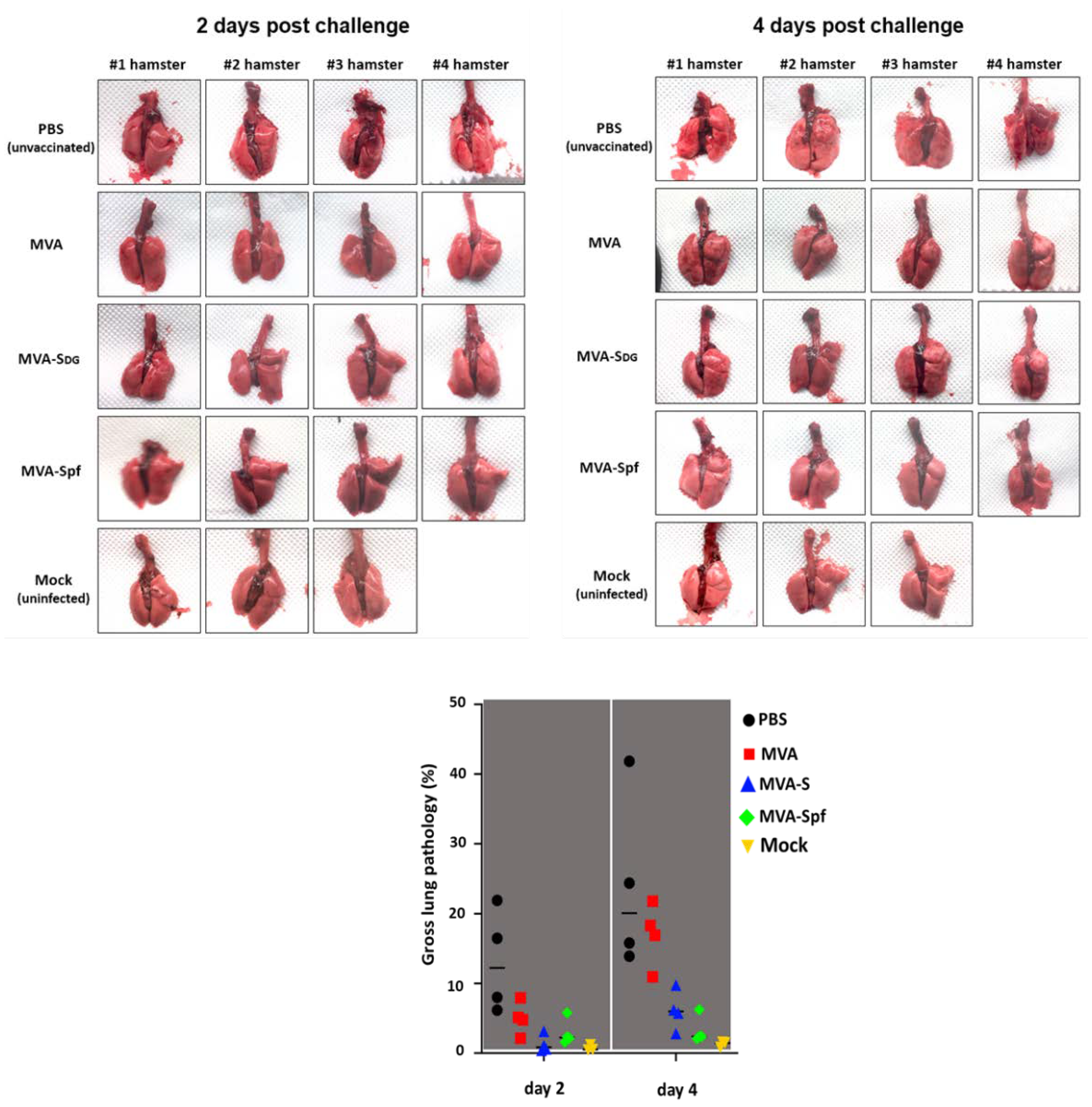 Preprints 72514 g009