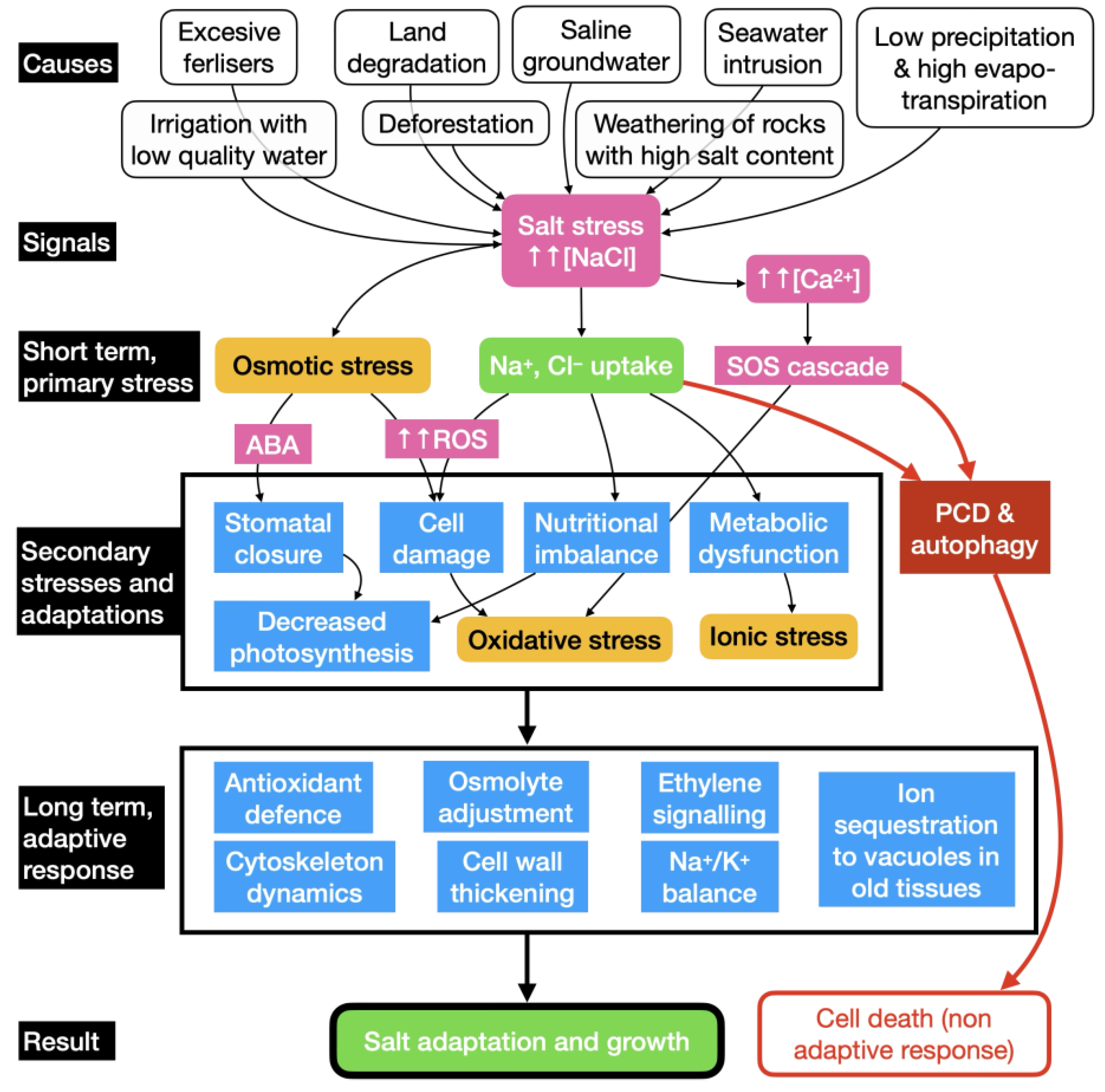 Preprints 141065 g001