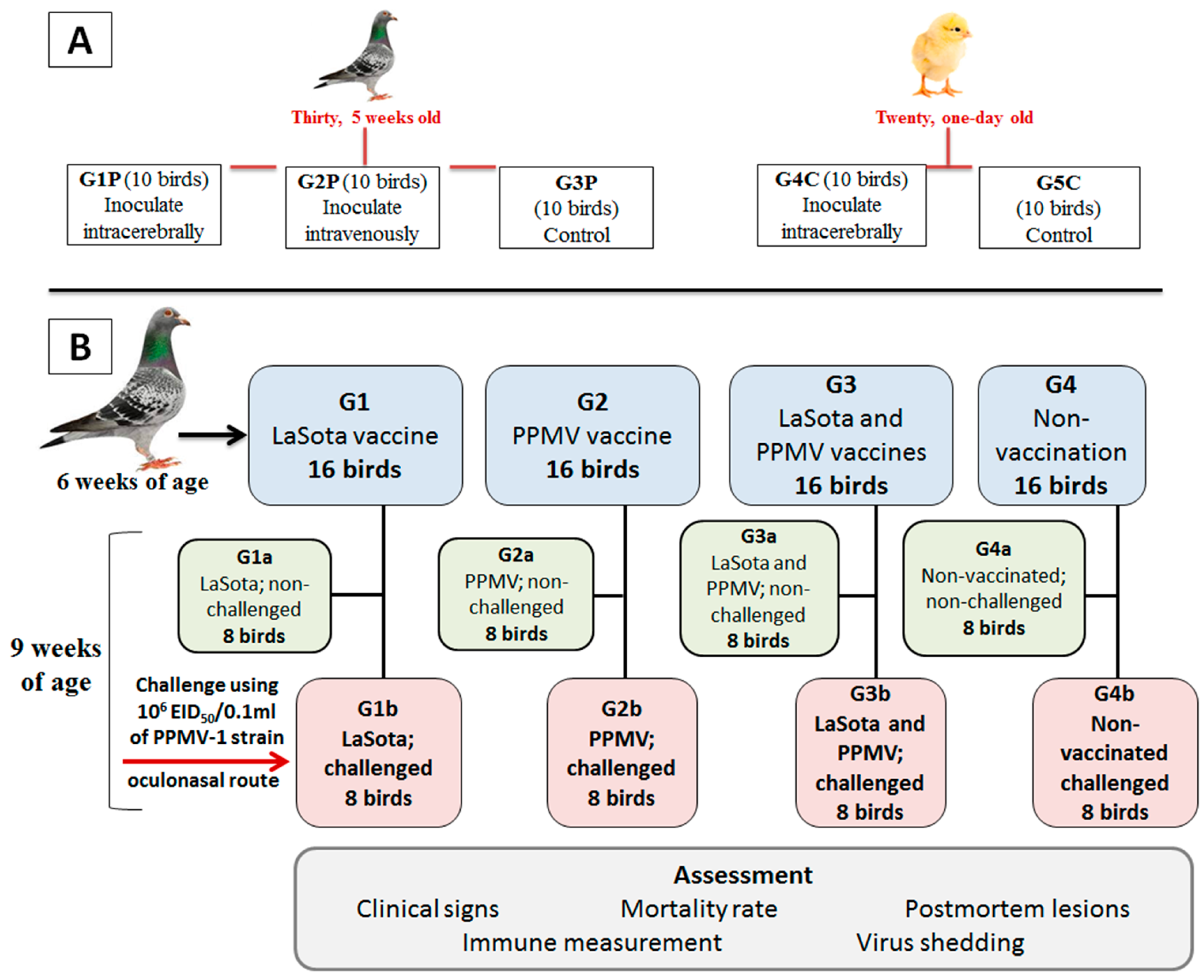 Preprints 116109 g001