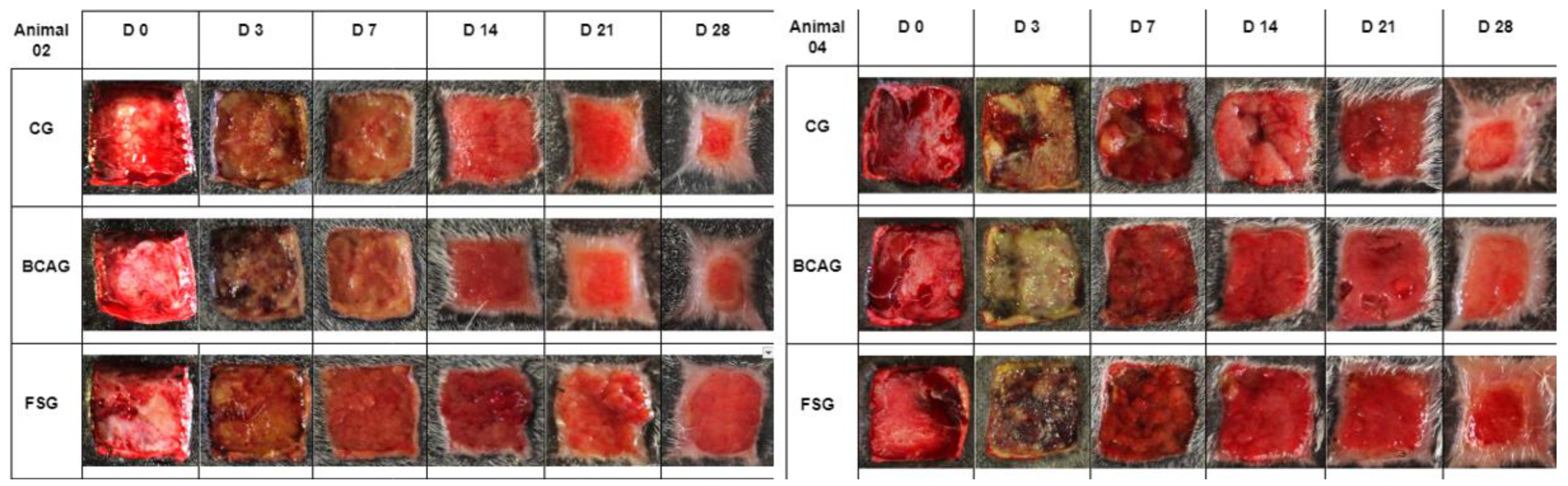 Preprints 105424 g005