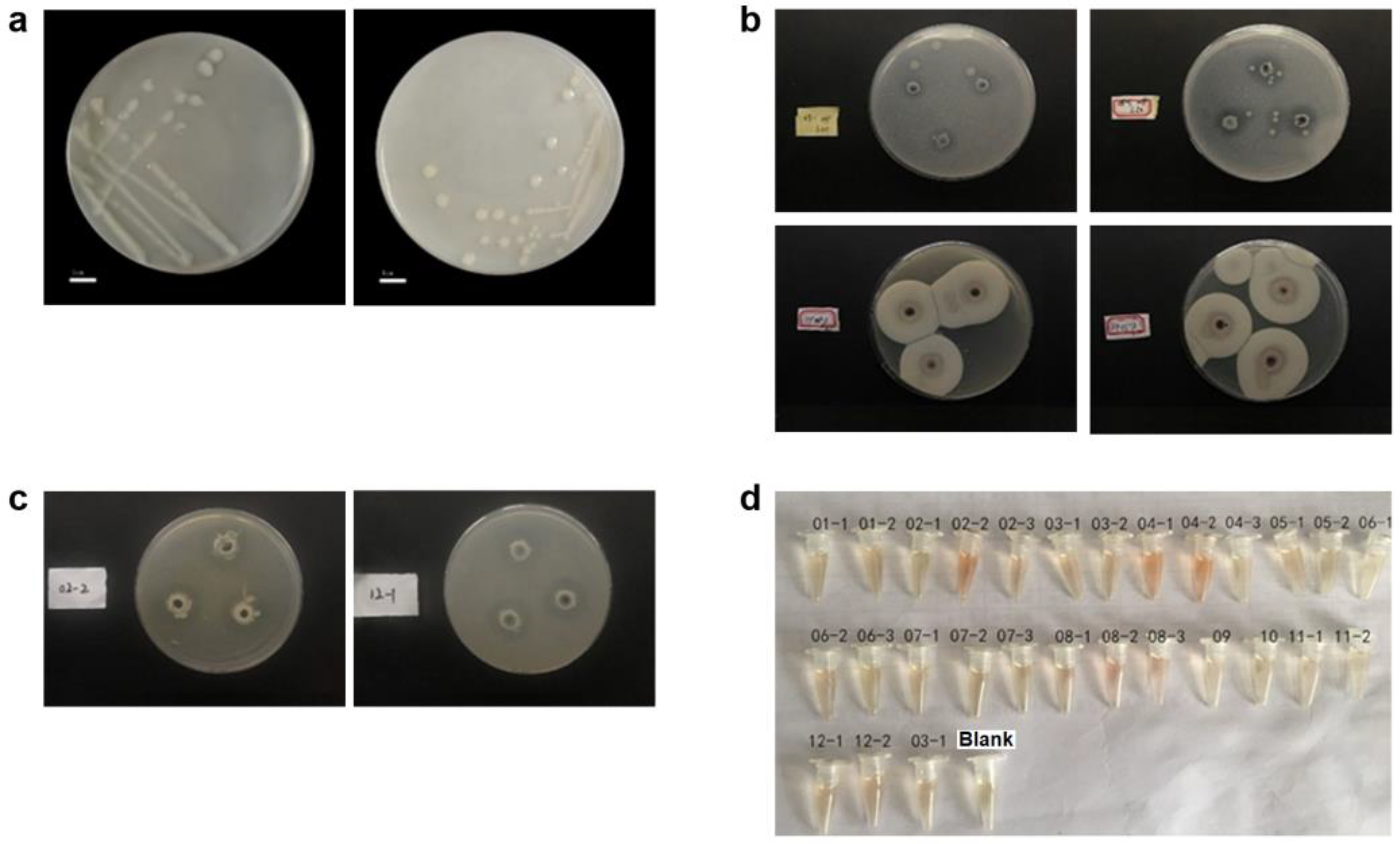 Preprints 90736 g001