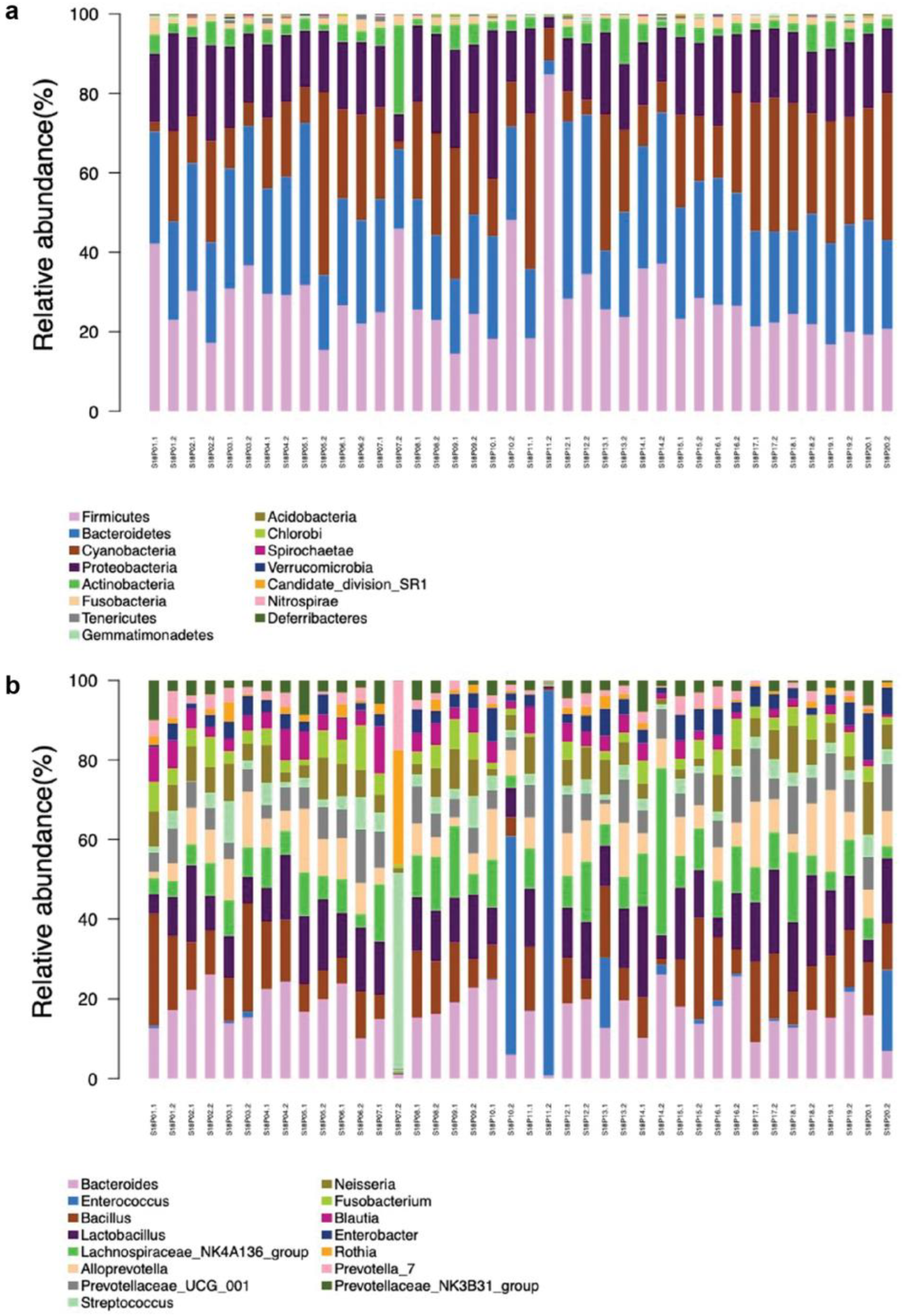 Preprints 90736 g002