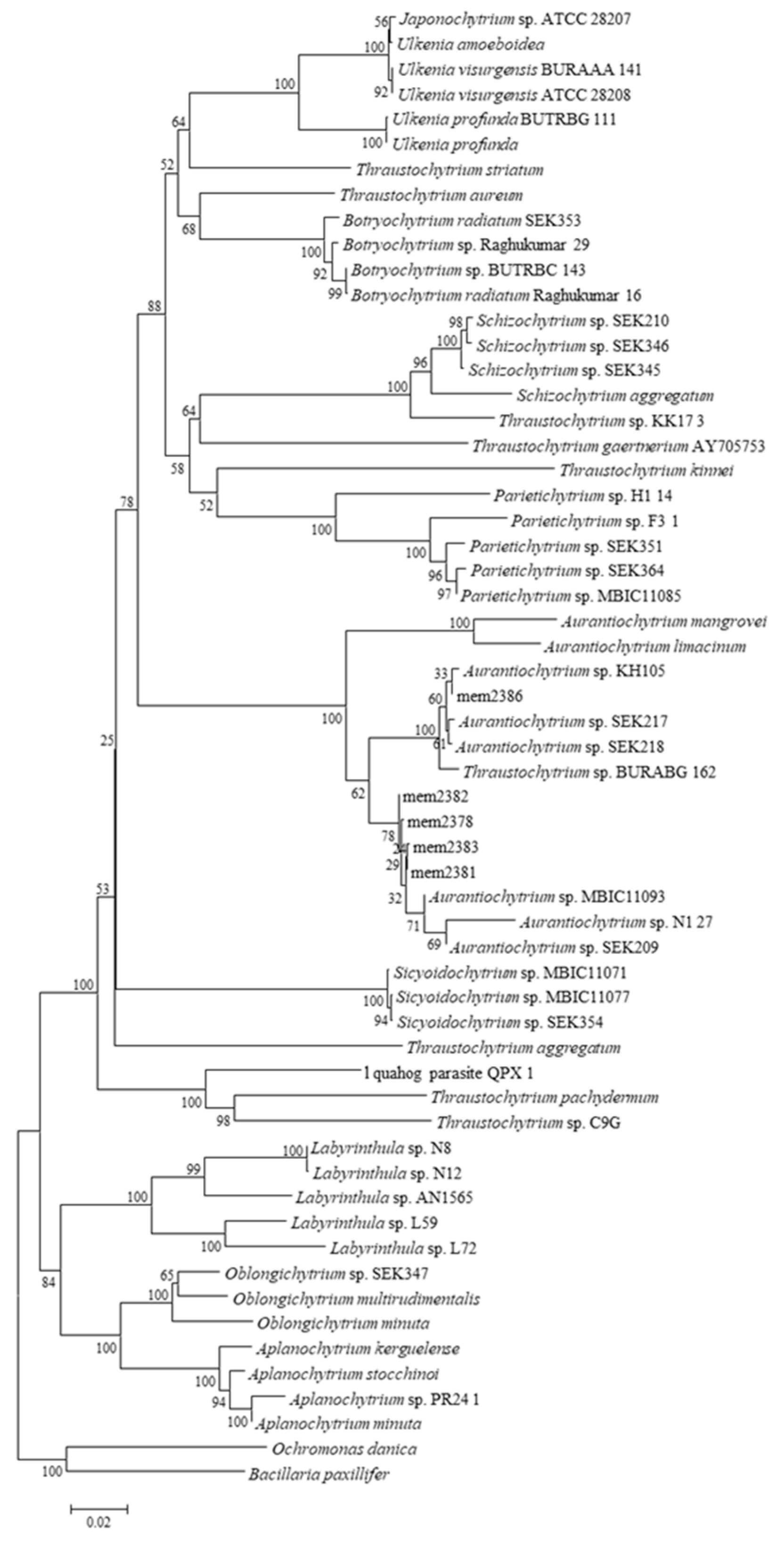 Preprints 85113 g001