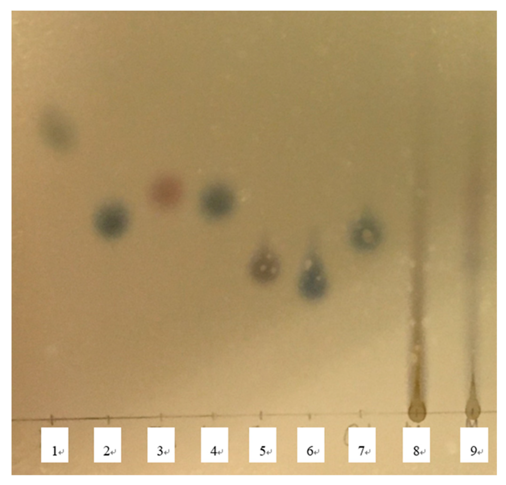 Preprints 85113 g002