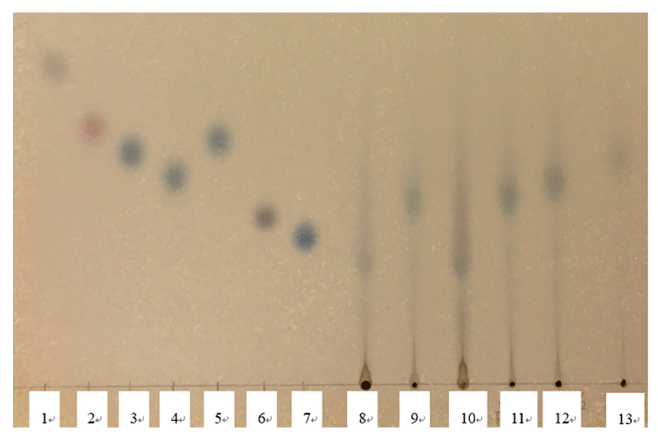 Preprints 85113 g003