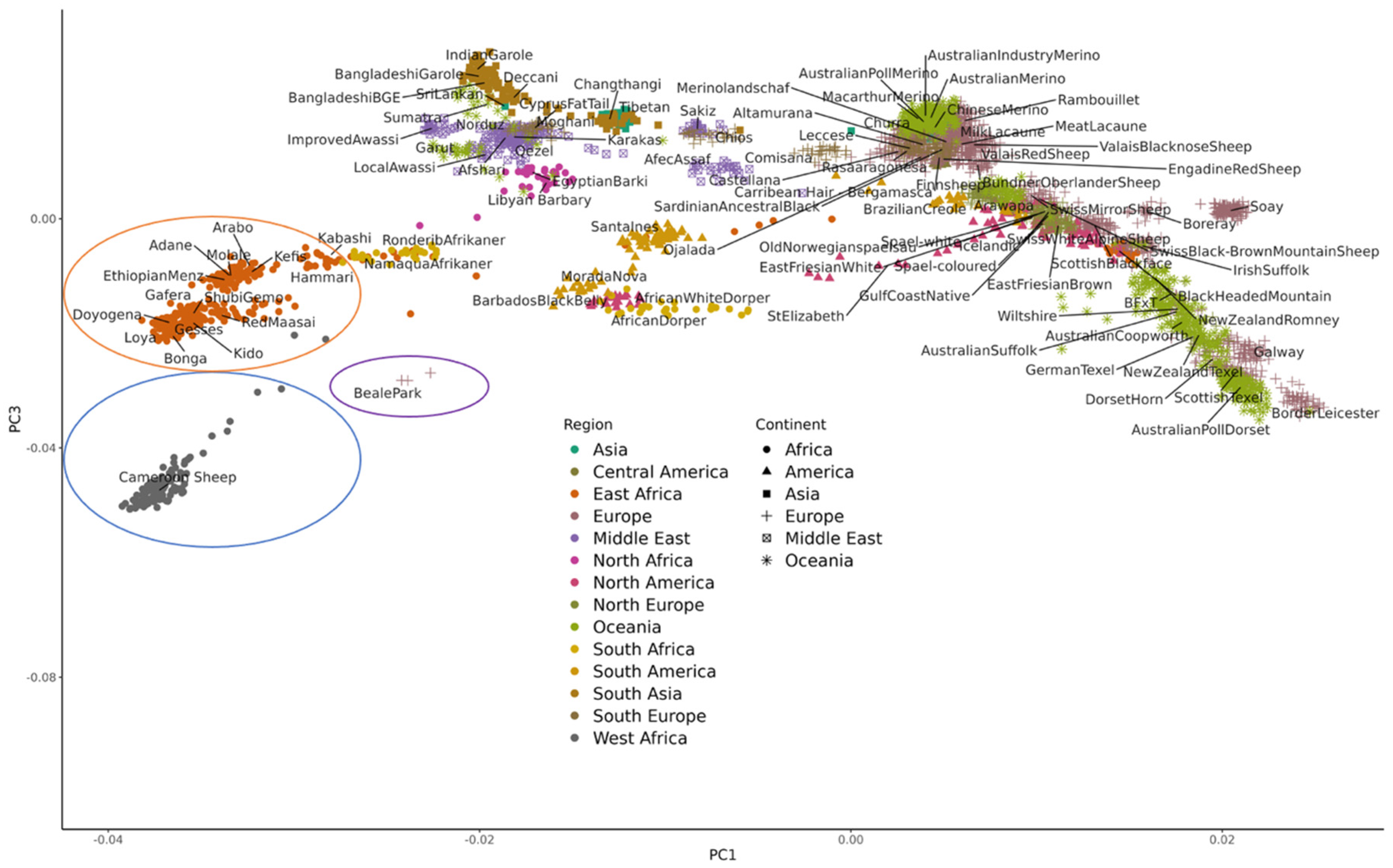 Preprints 70934 g002