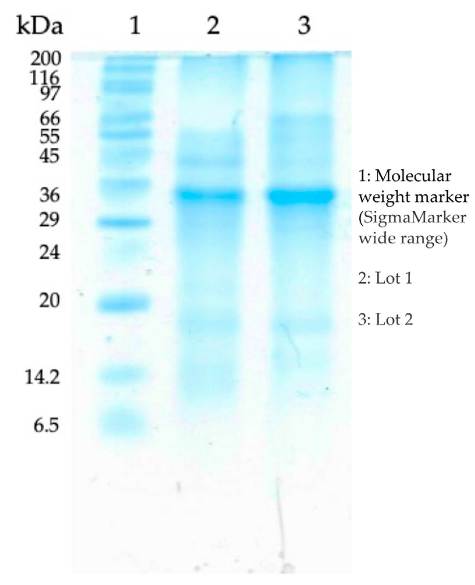 Preprints 67997 g002