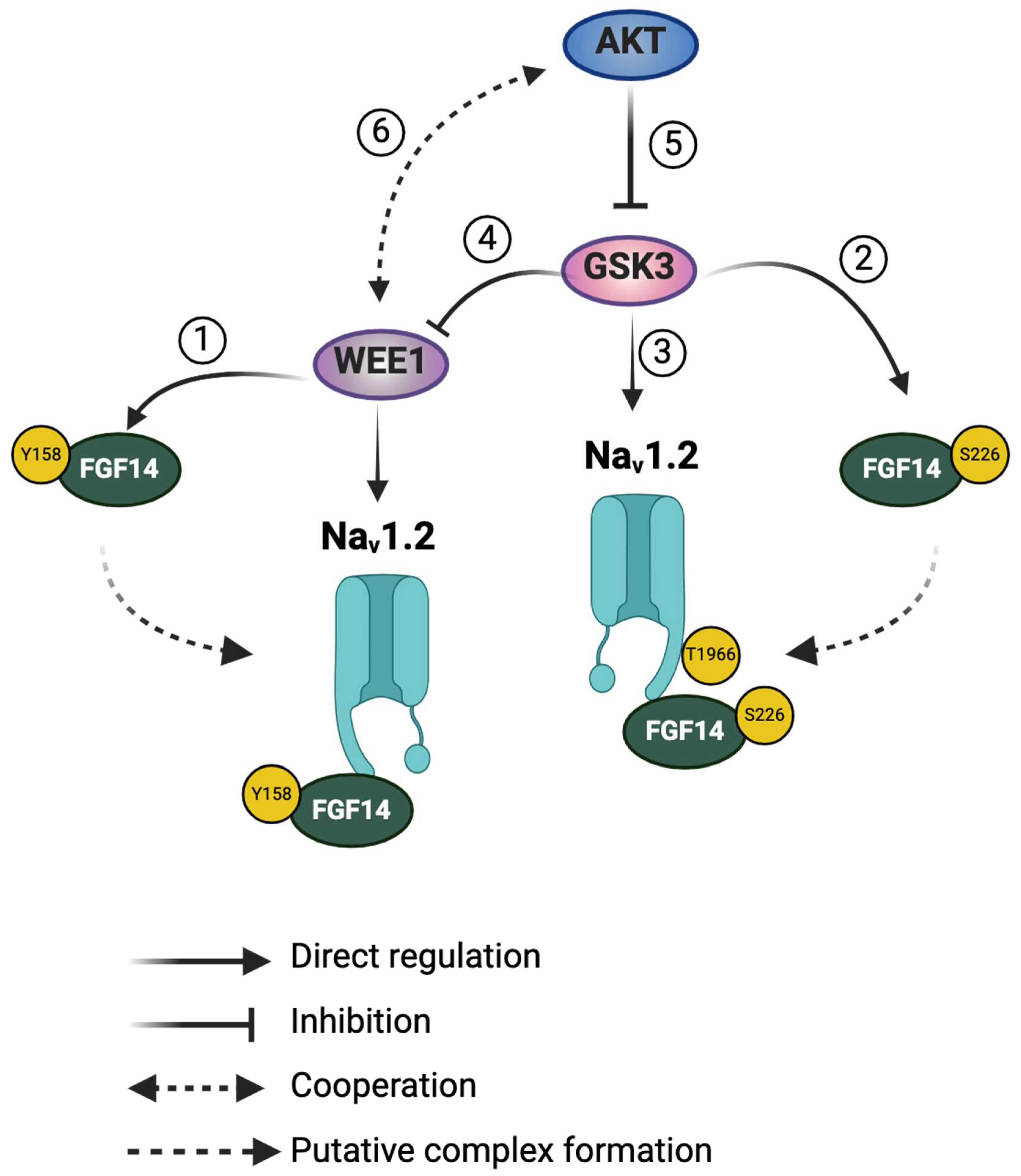 Preprints 108163 g005