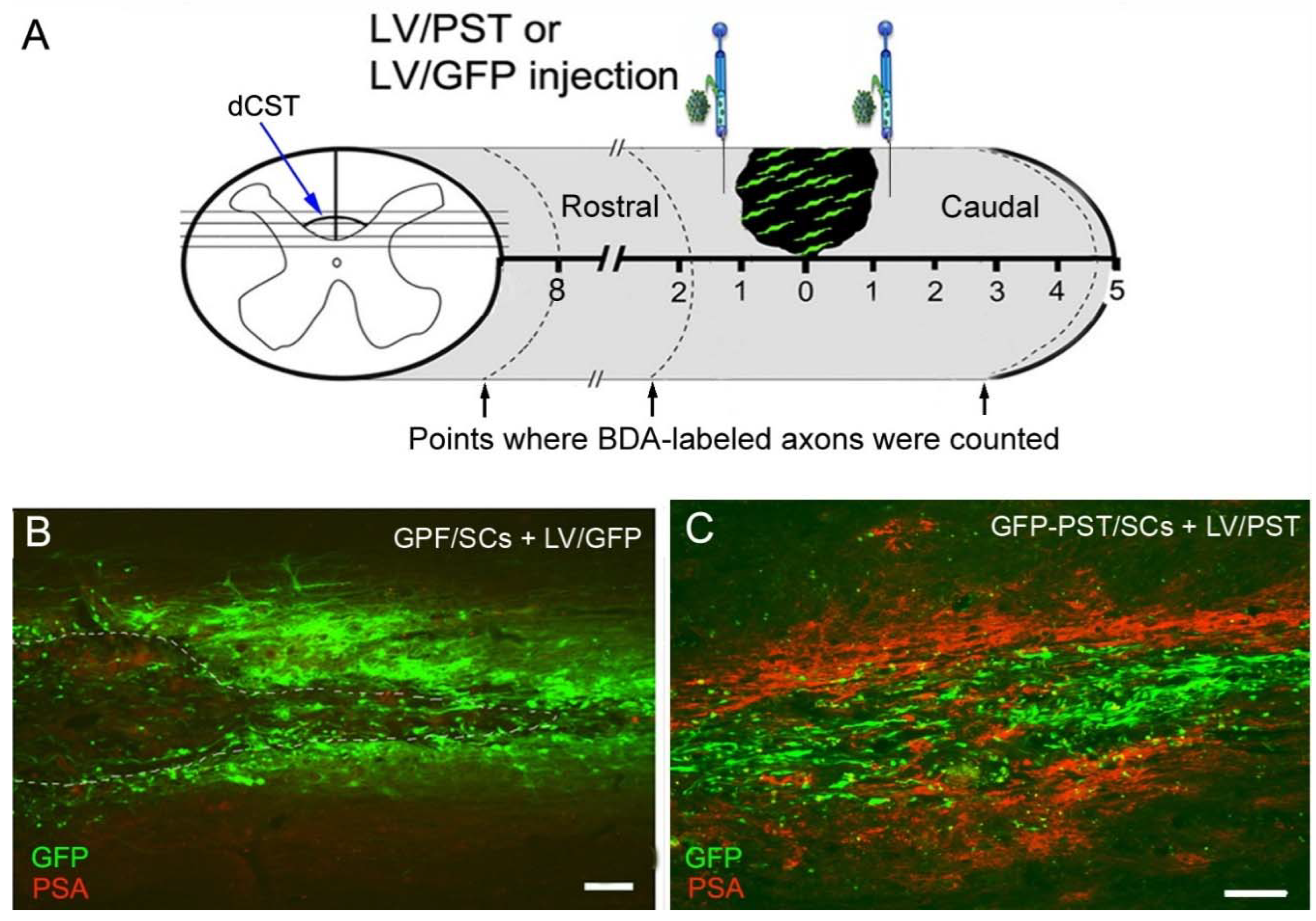 Preprints 81926 g002