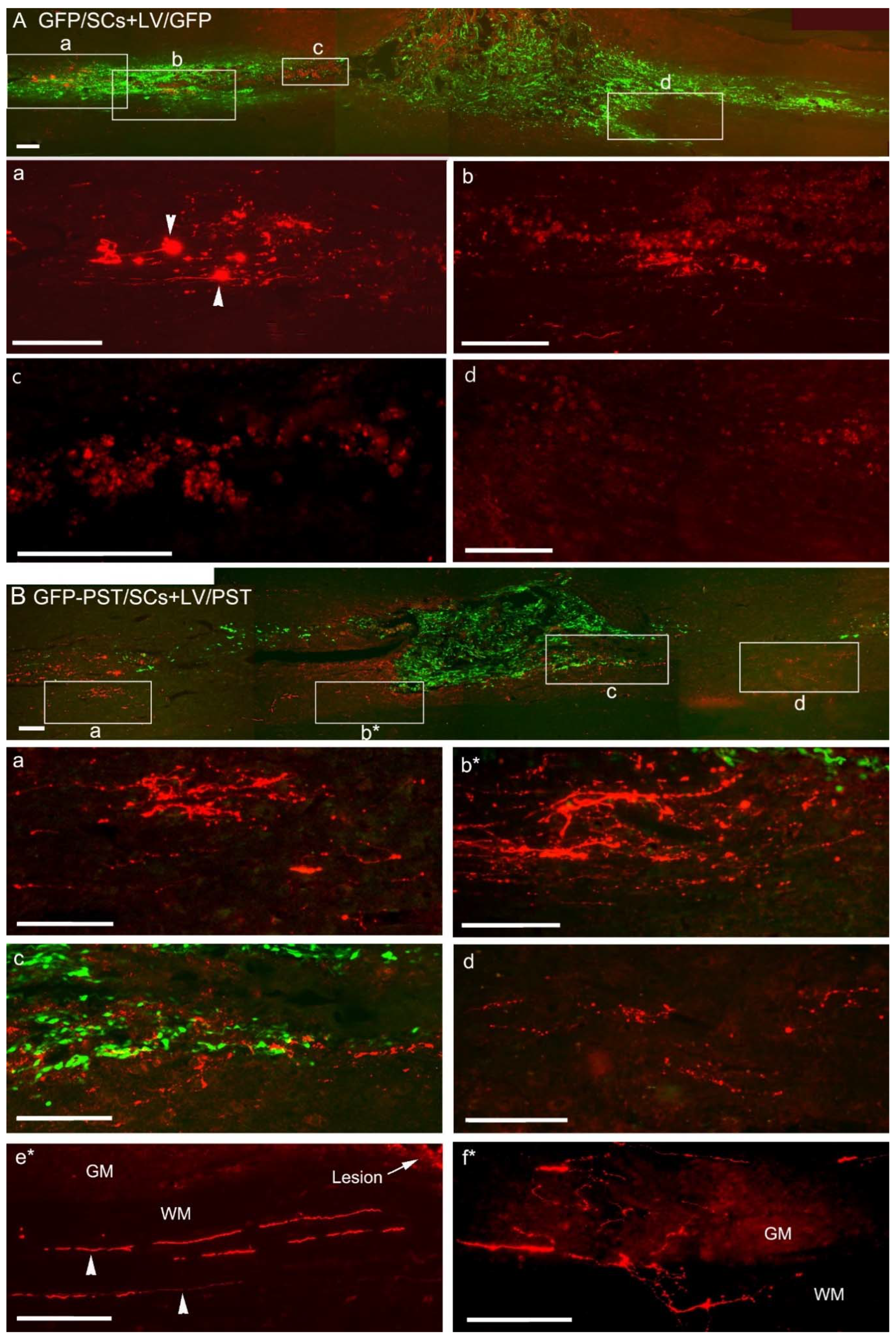 Preprints 81926 g003