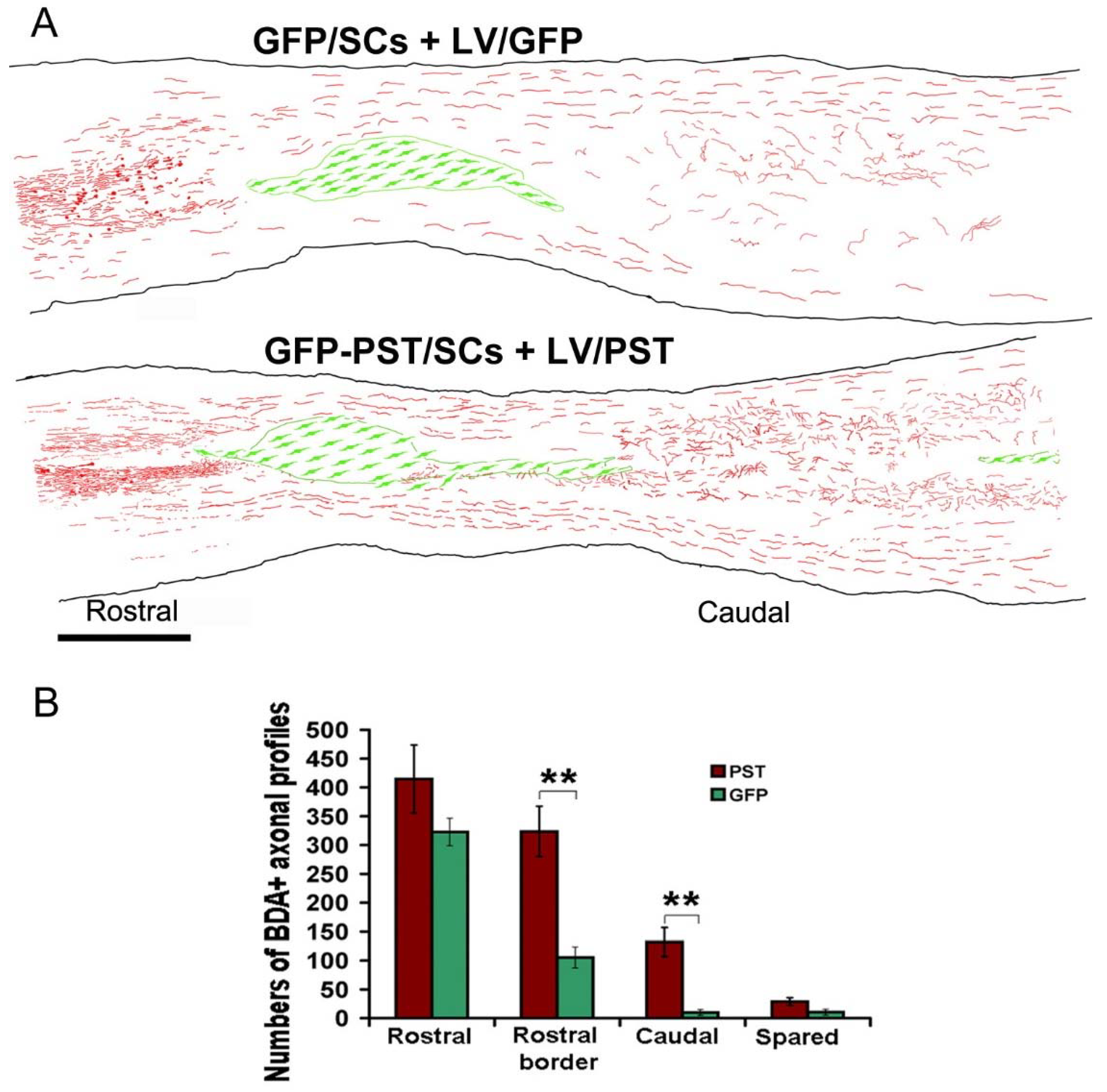 Preprints 81926 g004