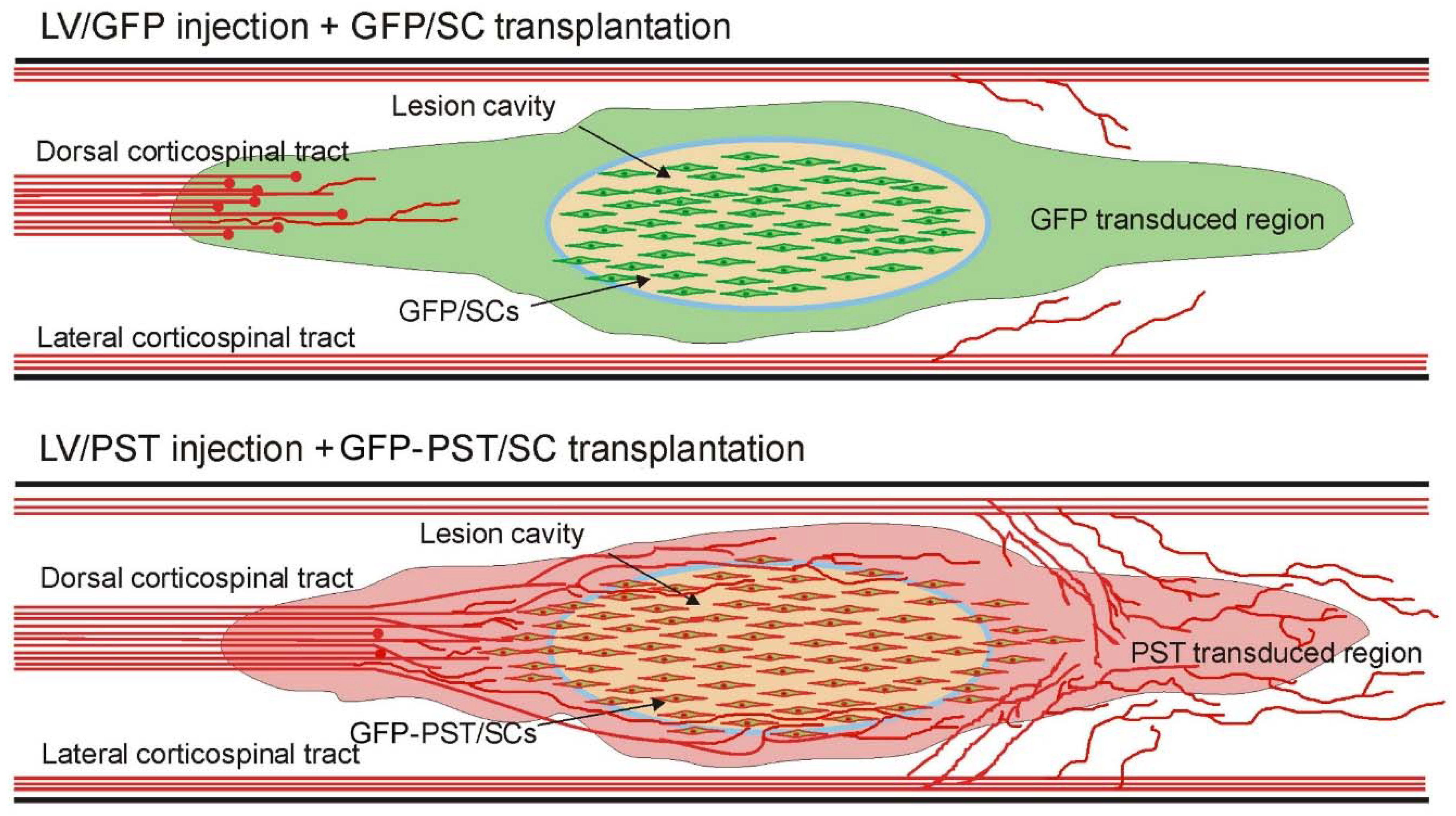 Preprints 81926 g007