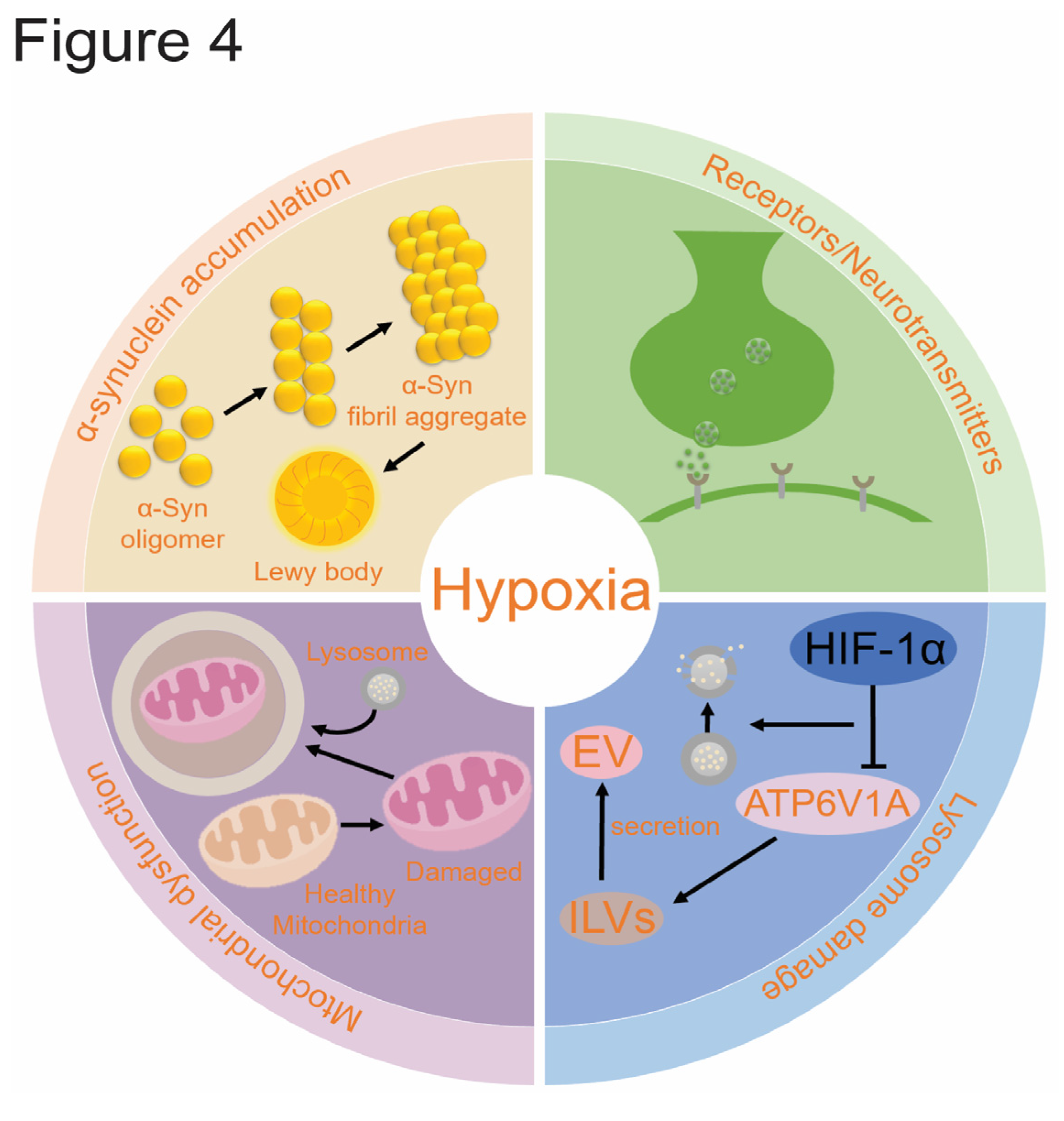 Preprints 117419 g004