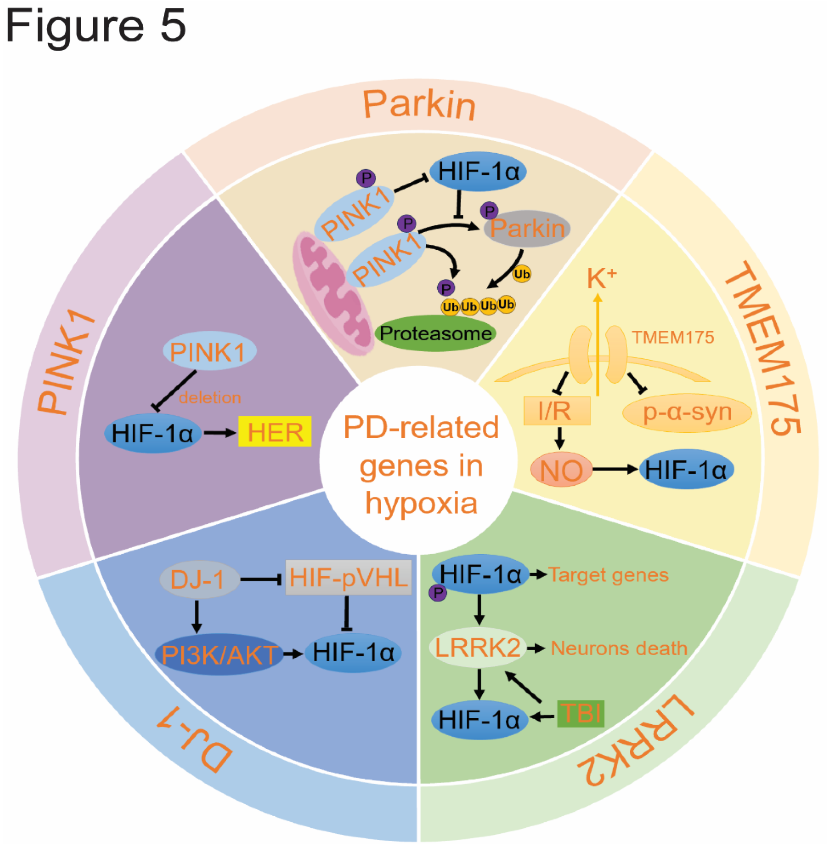 Preprints 117419 g005