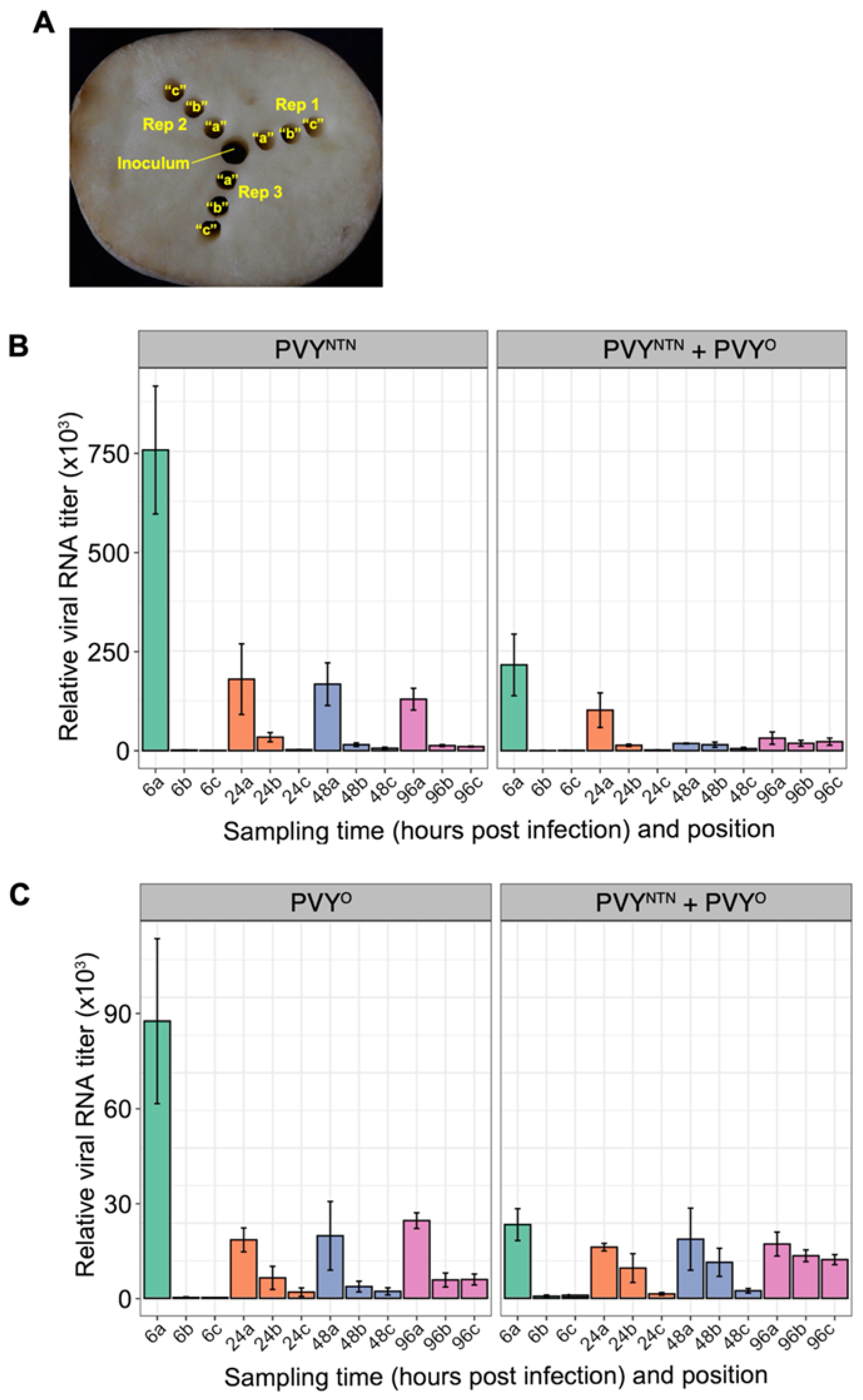 Preprints 105458 g004