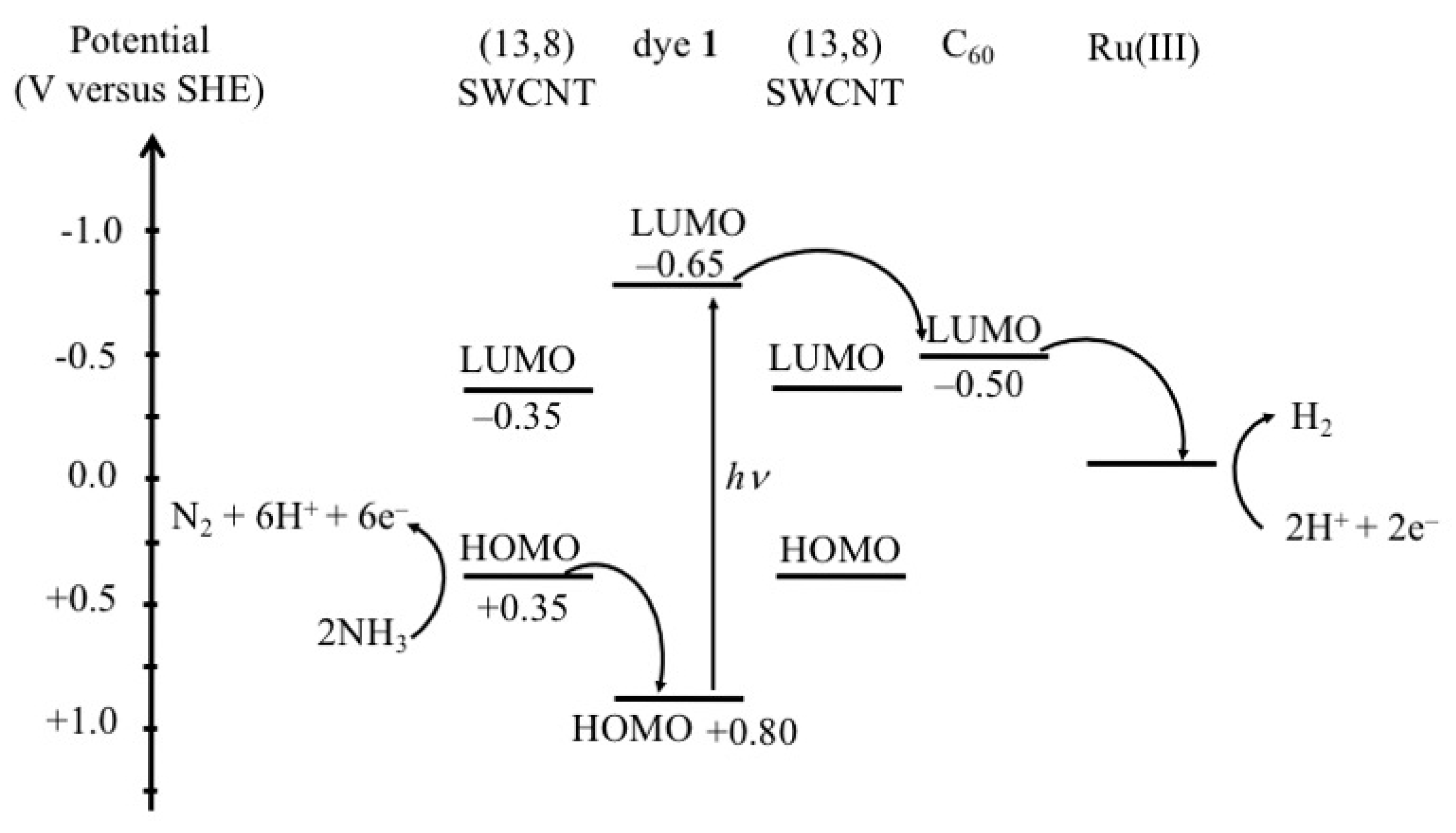 Preprints 115396 g005