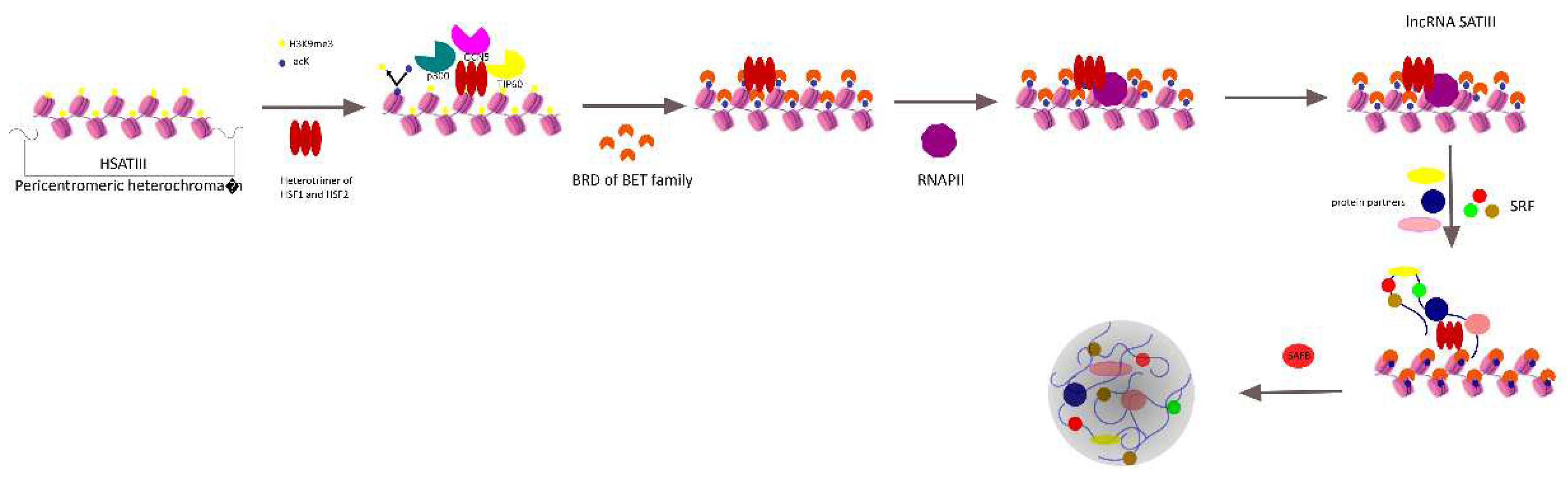 Preprints 70191 g001