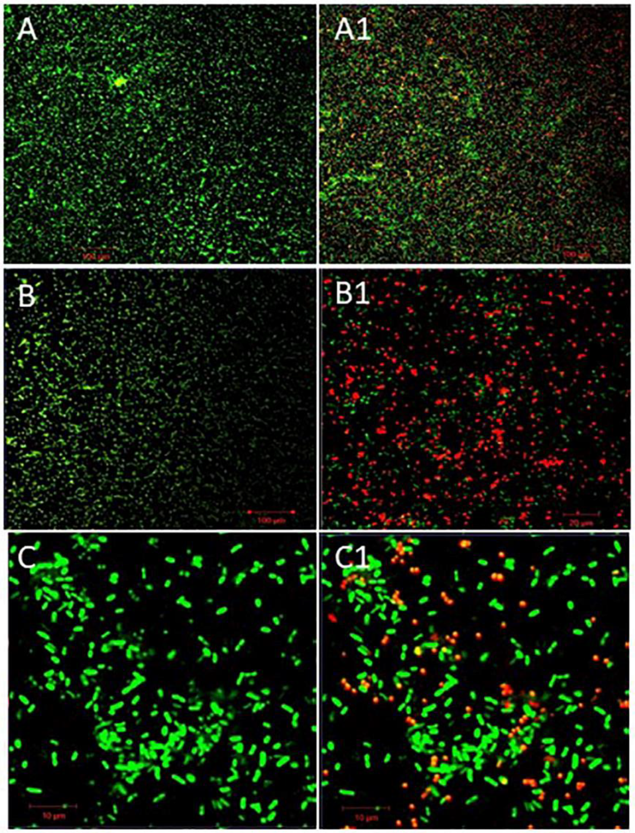 Preprints 110973 g003