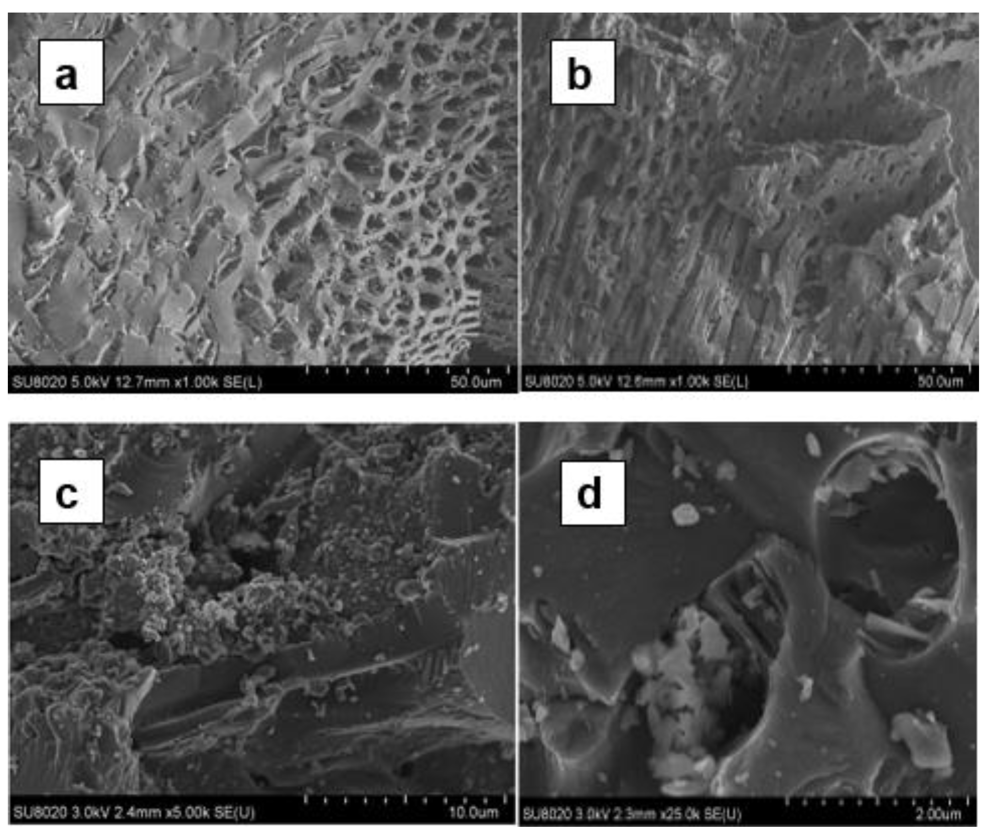 Preprints 85064 g005