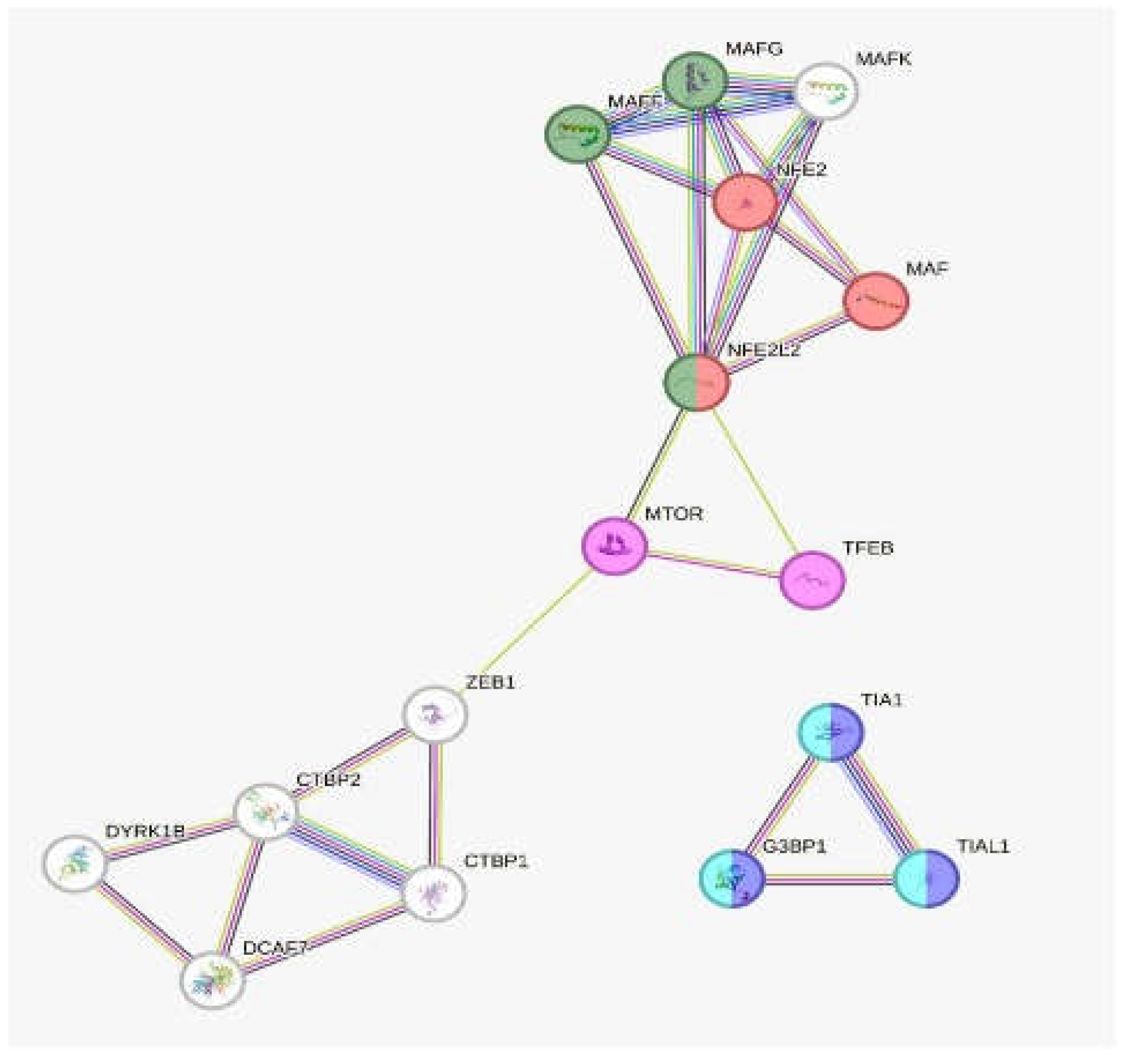 Preprints 116259 g002