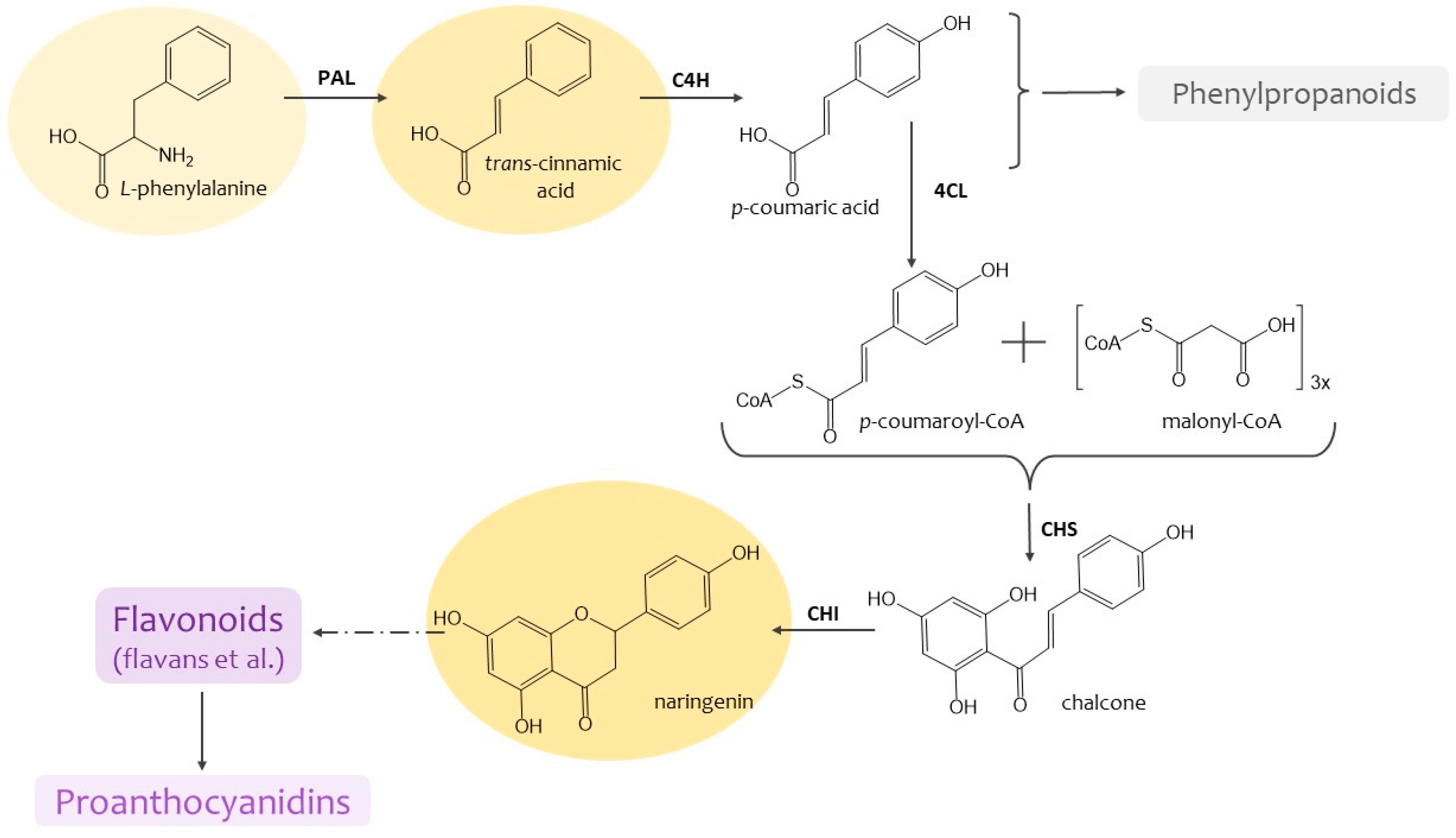 Preprints 93011 g001