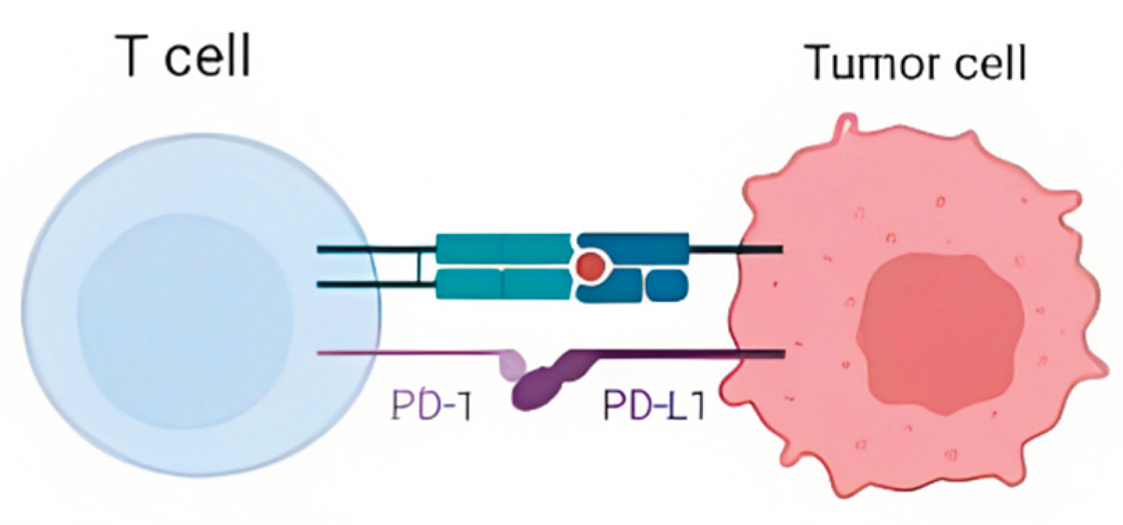 Preprints 78488 g001