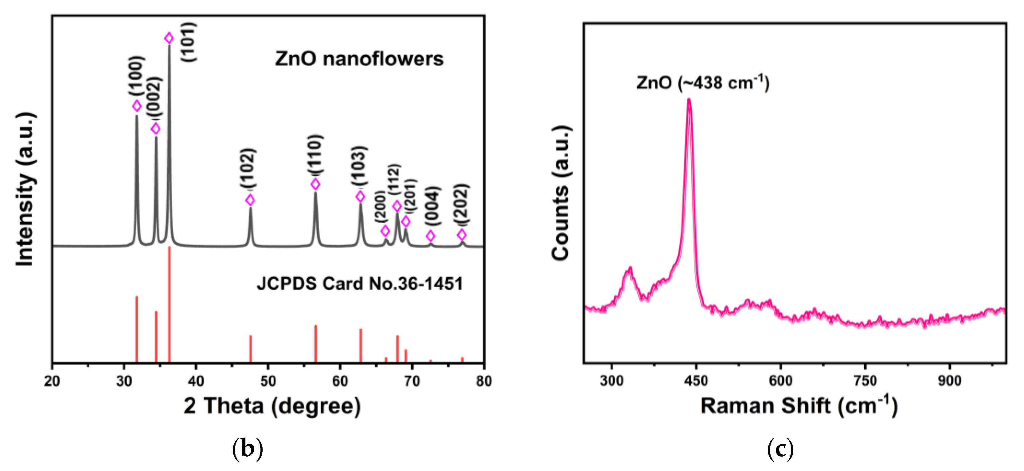 Preprints 87444 g001b